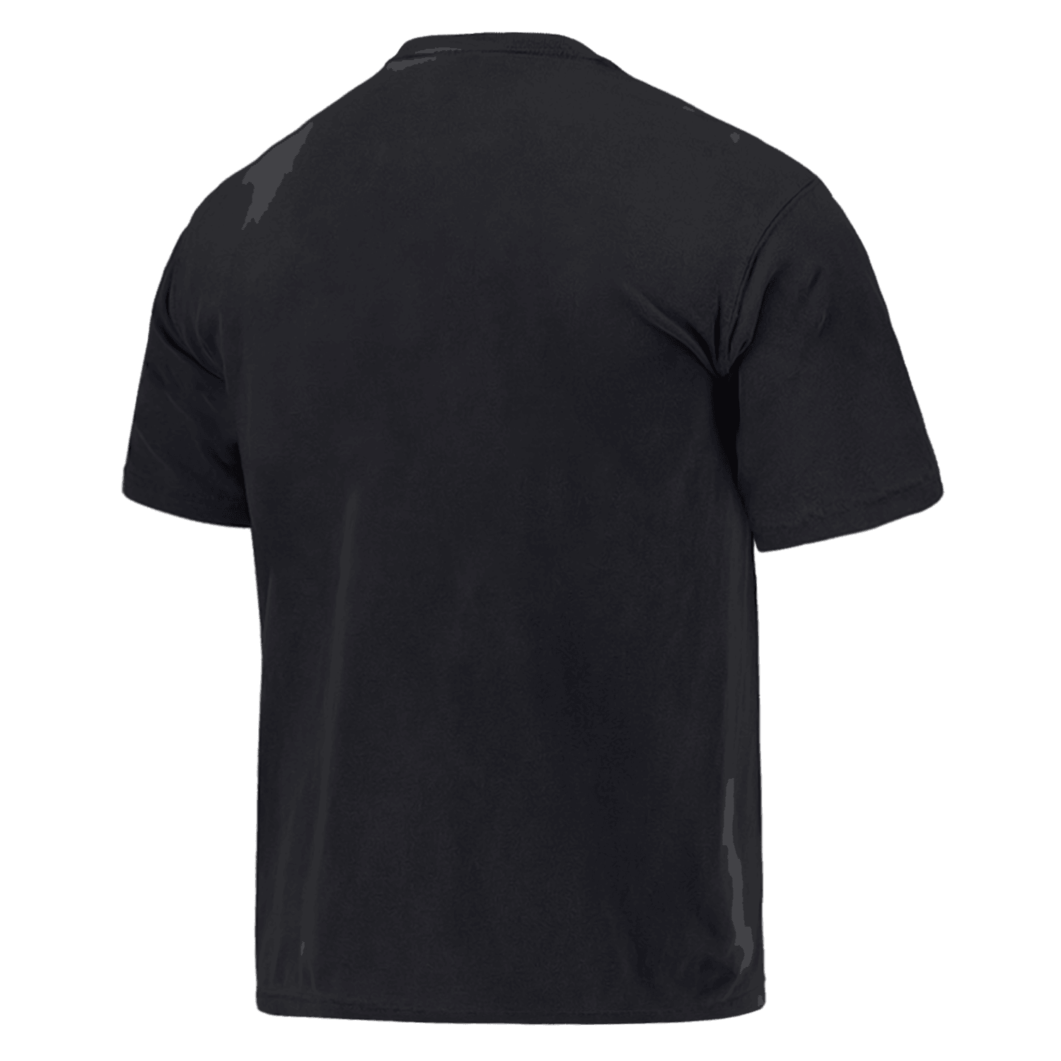 Las Vegas Raiders NFL Tonal Team Crest Vintage T-Shirt - Faded Black