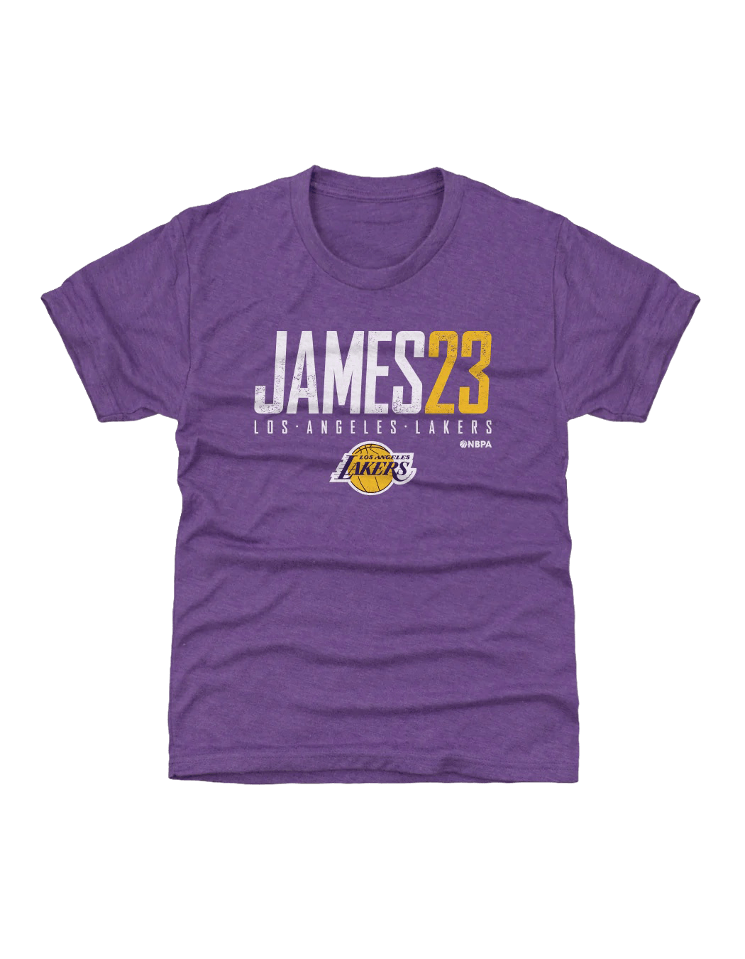 Youths LeBron James Los Angeles Lakers 500 Level NBA Elite T-Shirt - Purple