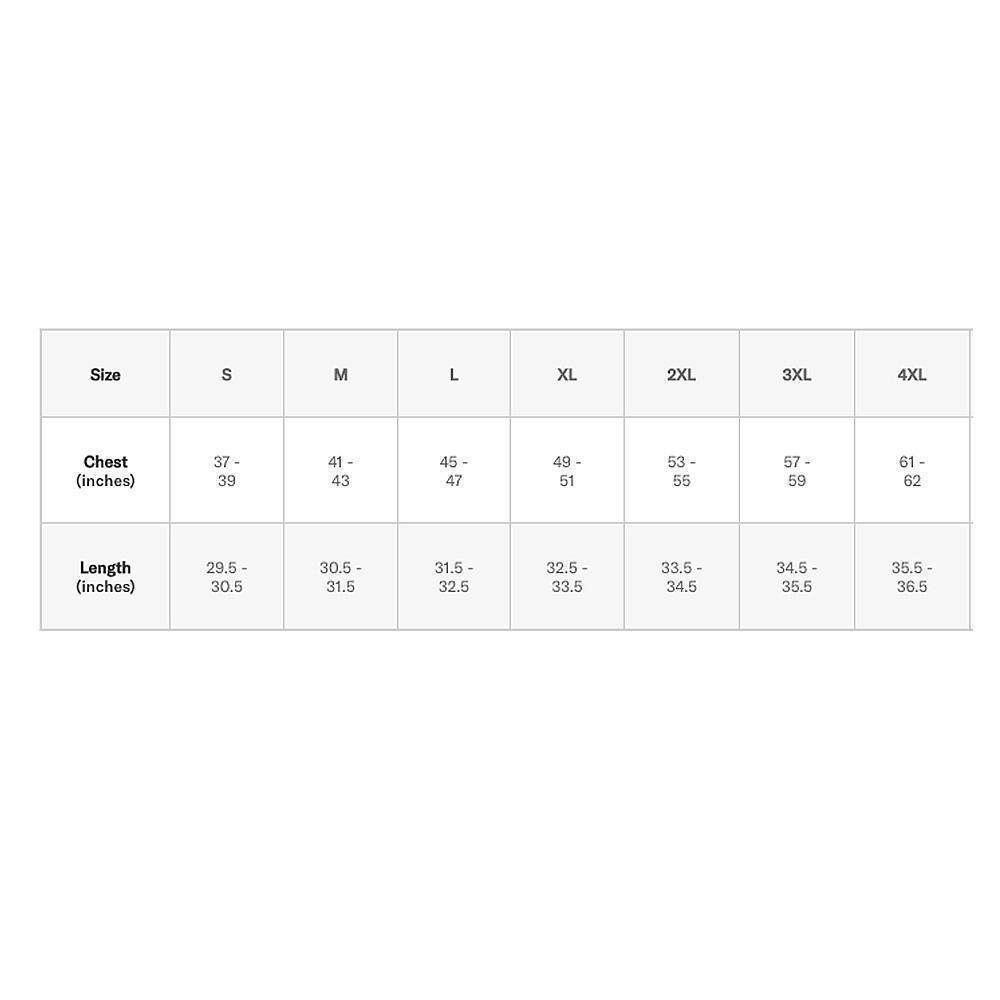 Toronto Raptors Mitchell & Ness NBA Team Logo T-Shirt - Black