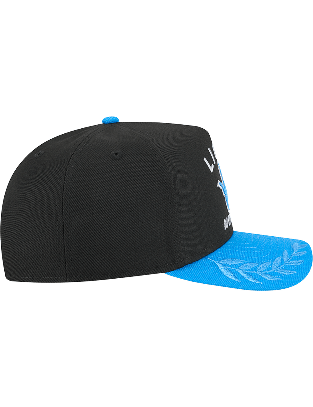 Detroit Lions New Era NFL 25 Draft Pre-Curved 9FIFTY A-Frame Snapback Hat - Black