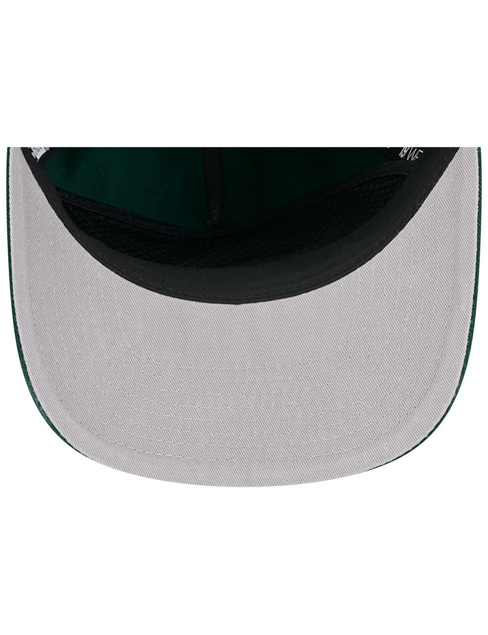 Minnesota Wild New Era NHL Team 19TWENTY Pre-Curved Snapback Hat - Green