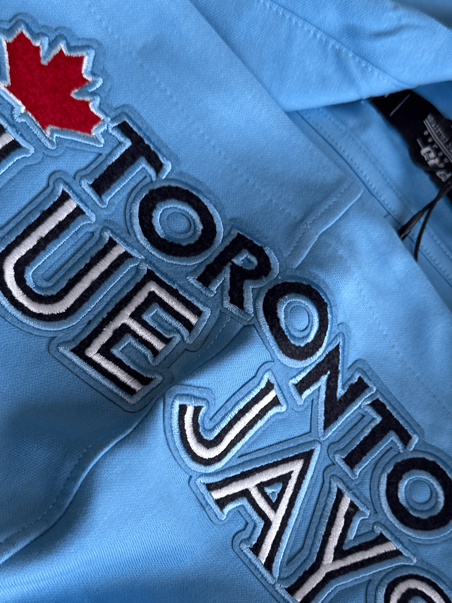Toronto Blue Jays Pro Standard MLB Team Chenille Hoodie Jumper  - Light Blue