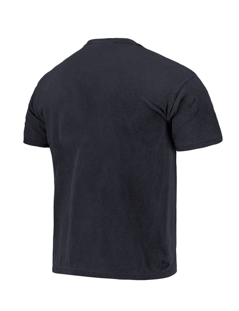 Memphis Grizzlies Mitchell & Ness NBA Skyline Vintage T-Shirt - Faded Black