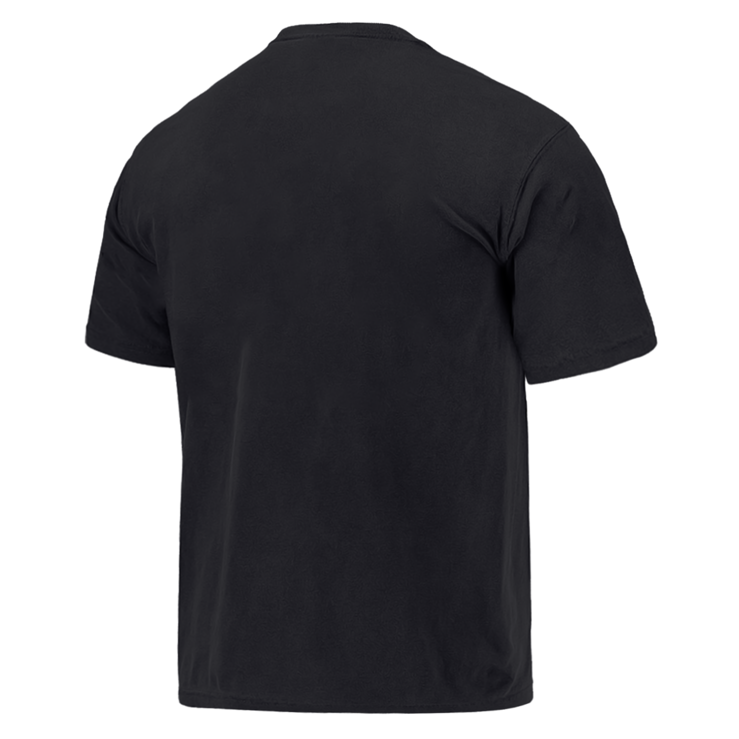 Las Vegas Raiders Mitchell & Ness NFL Journey To Florida Vintage T-Shirt - Faded Black