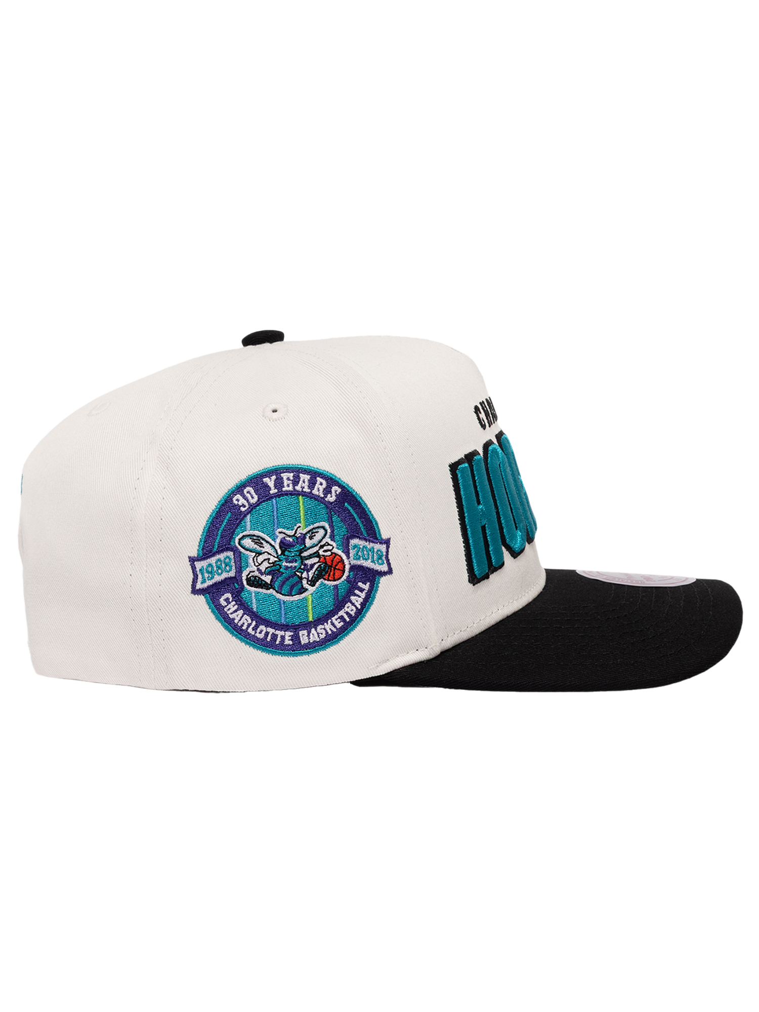 Charlotte Hornets Mitchell & Ness NBA HWC Draft Day Pro Pinch Snapback Hat