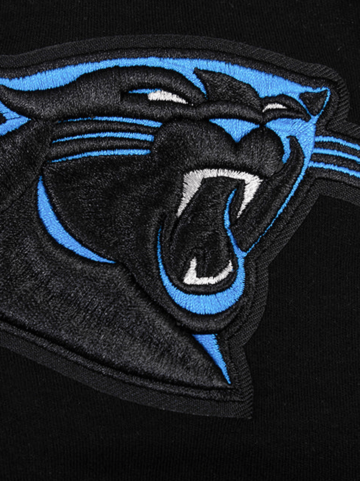 Carolina Panthers Pro Standard NFL Team Chenille Flex T-Shirt - Black