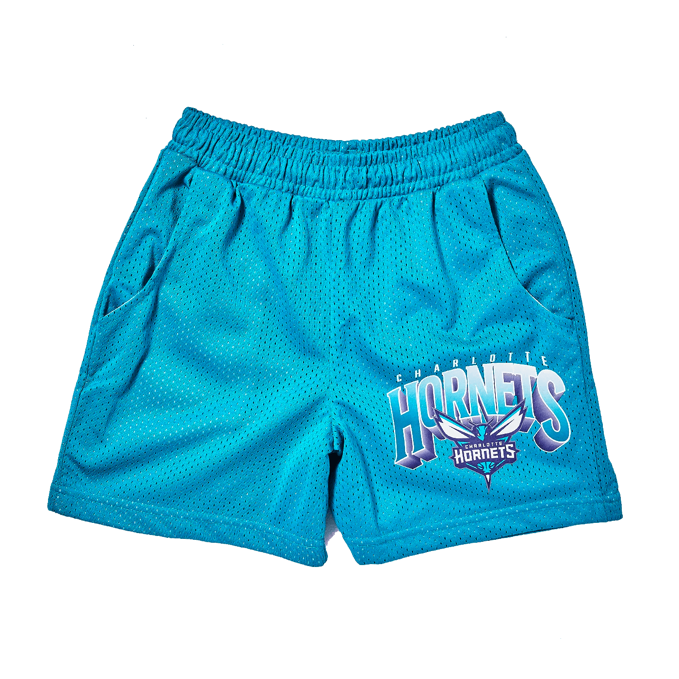 Youths Charlotte Hornets NBA Newark Mesh Shorts - Teal
