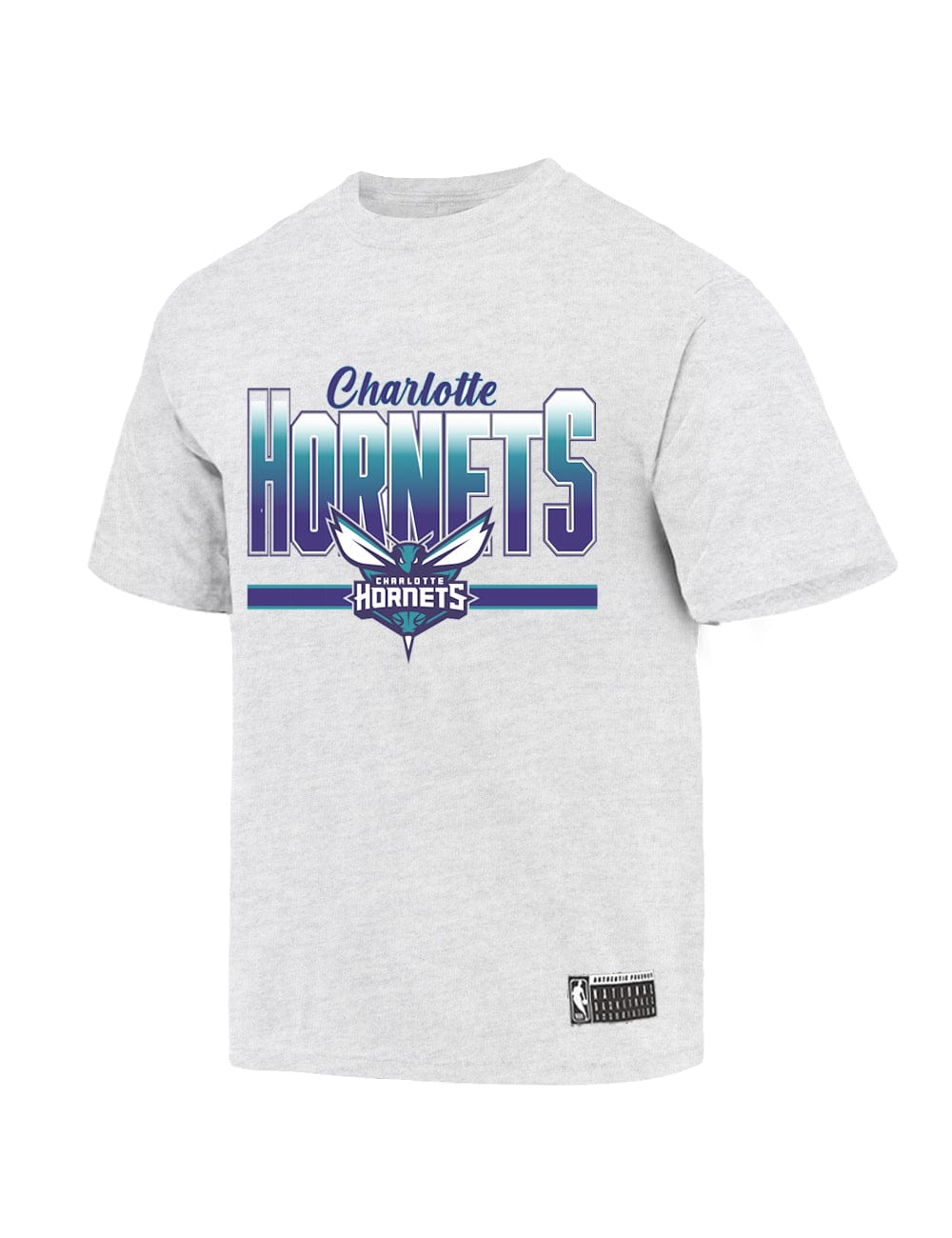 Charlotte Hornets NBA Bloomfield Vintage T-Shirt - Marle