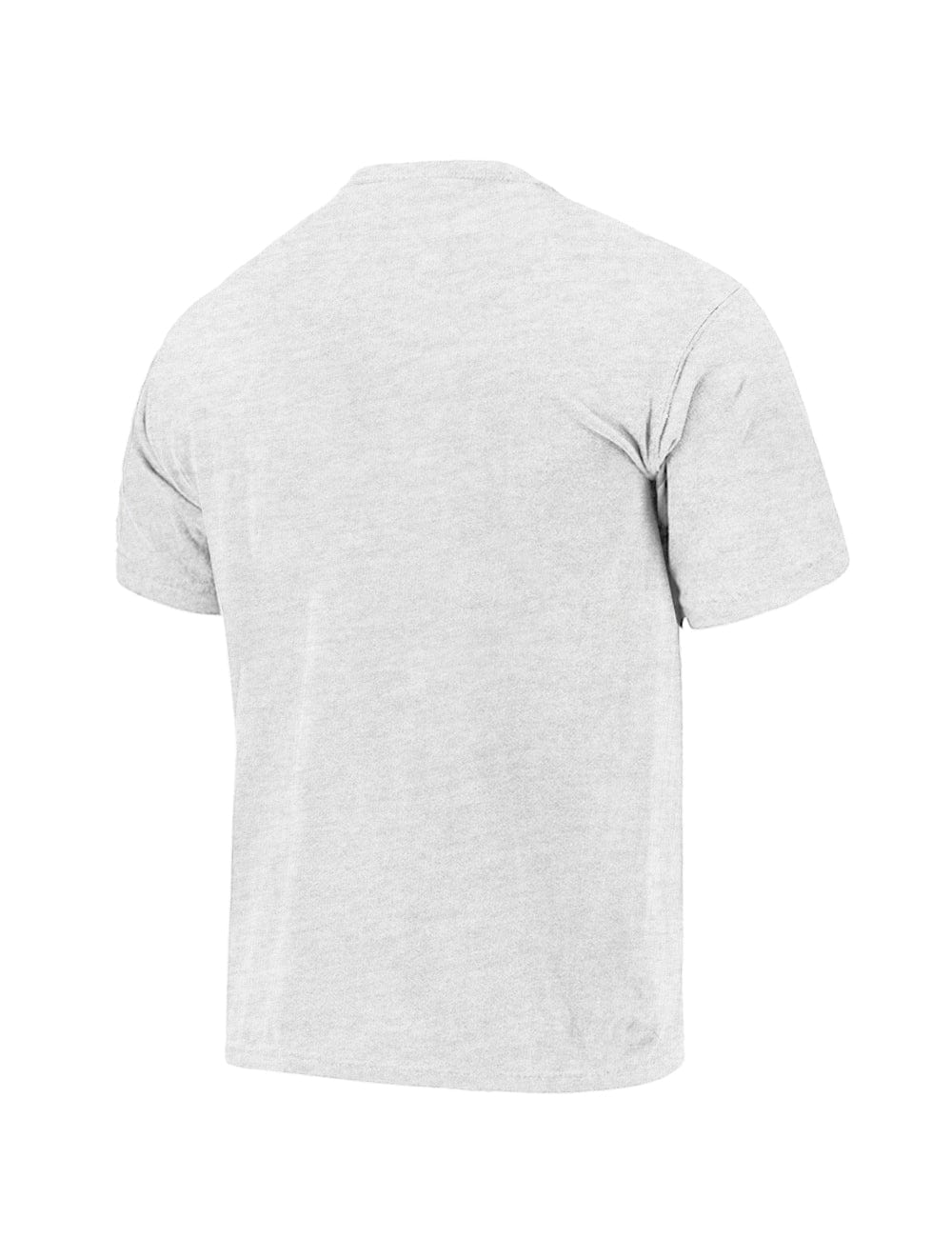 Charlotte Hornets NBA Bloomfield Vintage T-Shirt - Marle