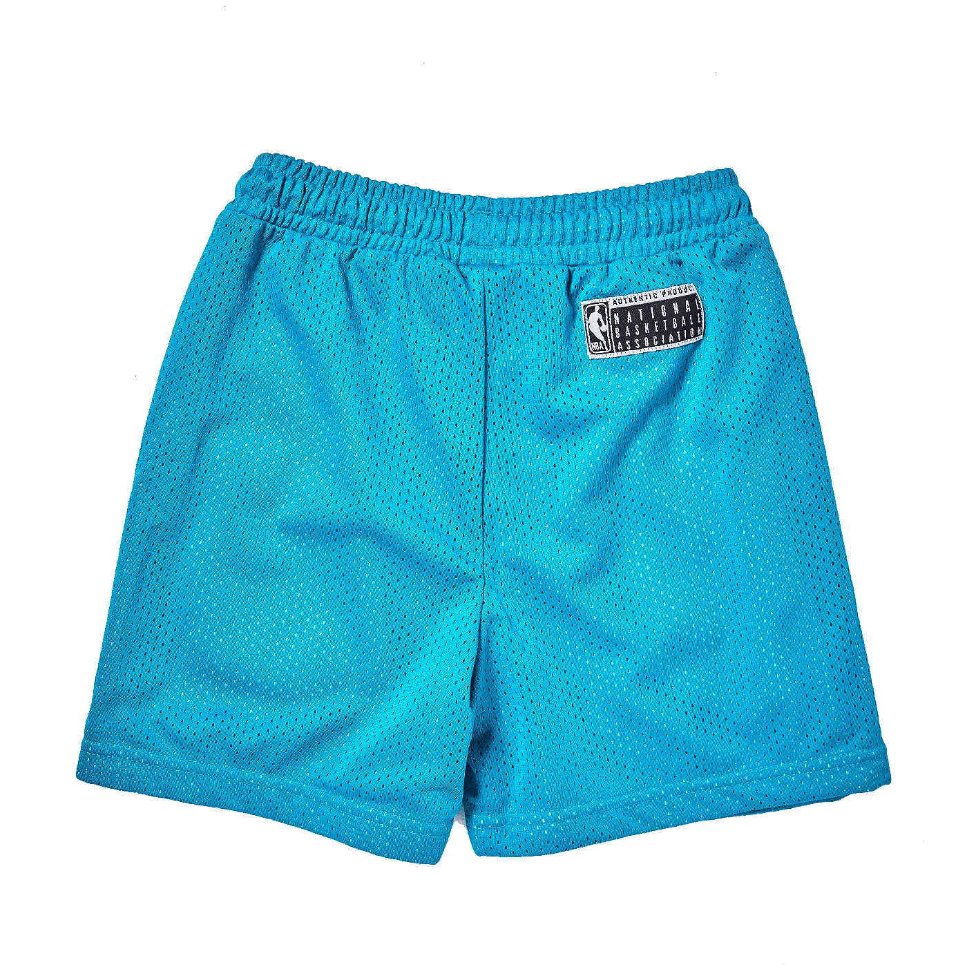Youths Charlotte Hornets NBA Newark Mesh Shorts - Teal