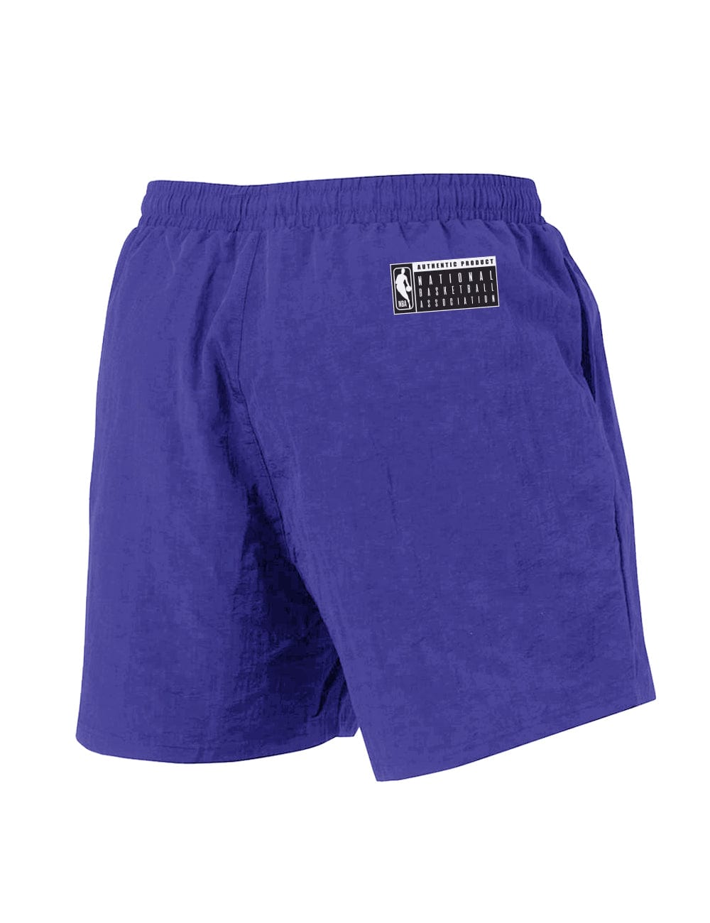 Charlotte Hornets NBA Bloomfield Nylon Shorts - Purple