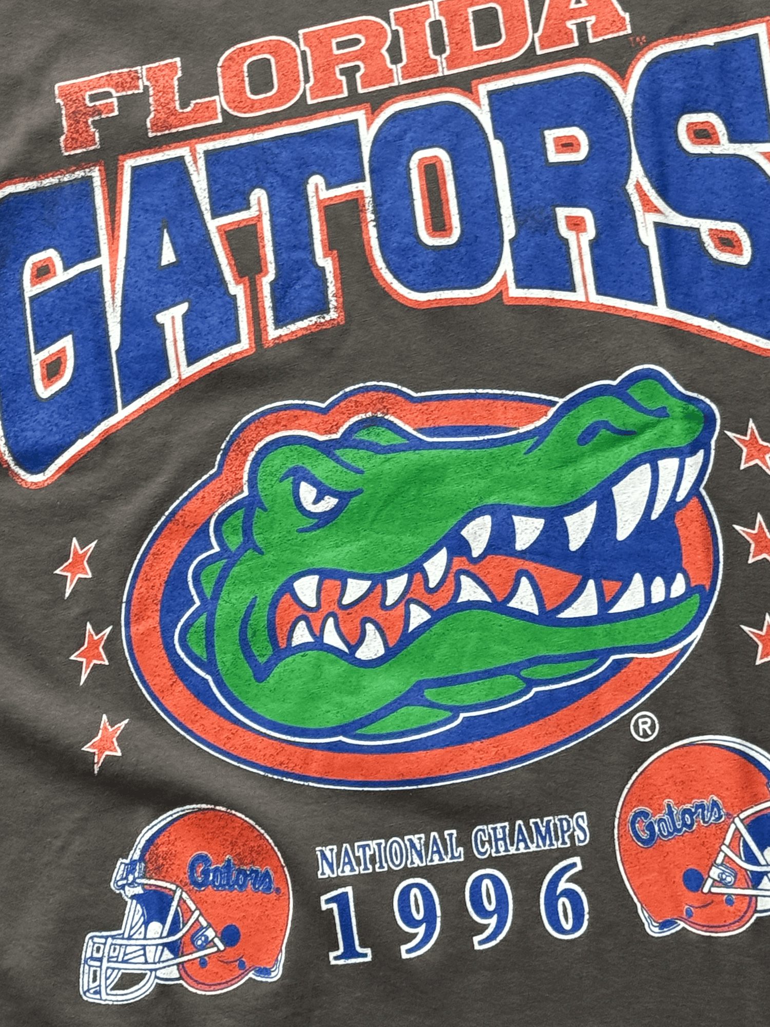 Florida Gators Mitchell & Ness NCAA Champs Arch Vintage T-Shirt - Faded Slate