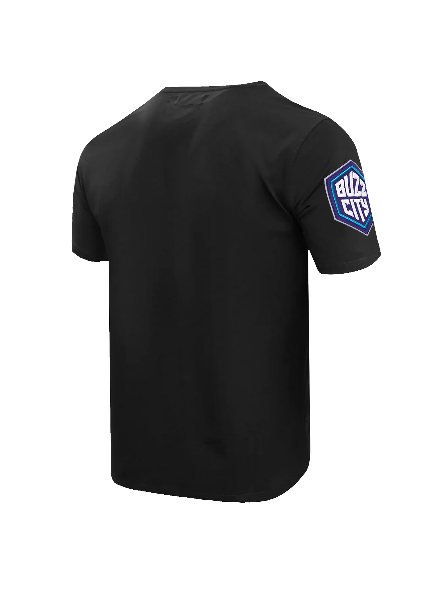 Charlotte Hornets Pro Standard NBA Team Chenille Flex T-Shirt - Black