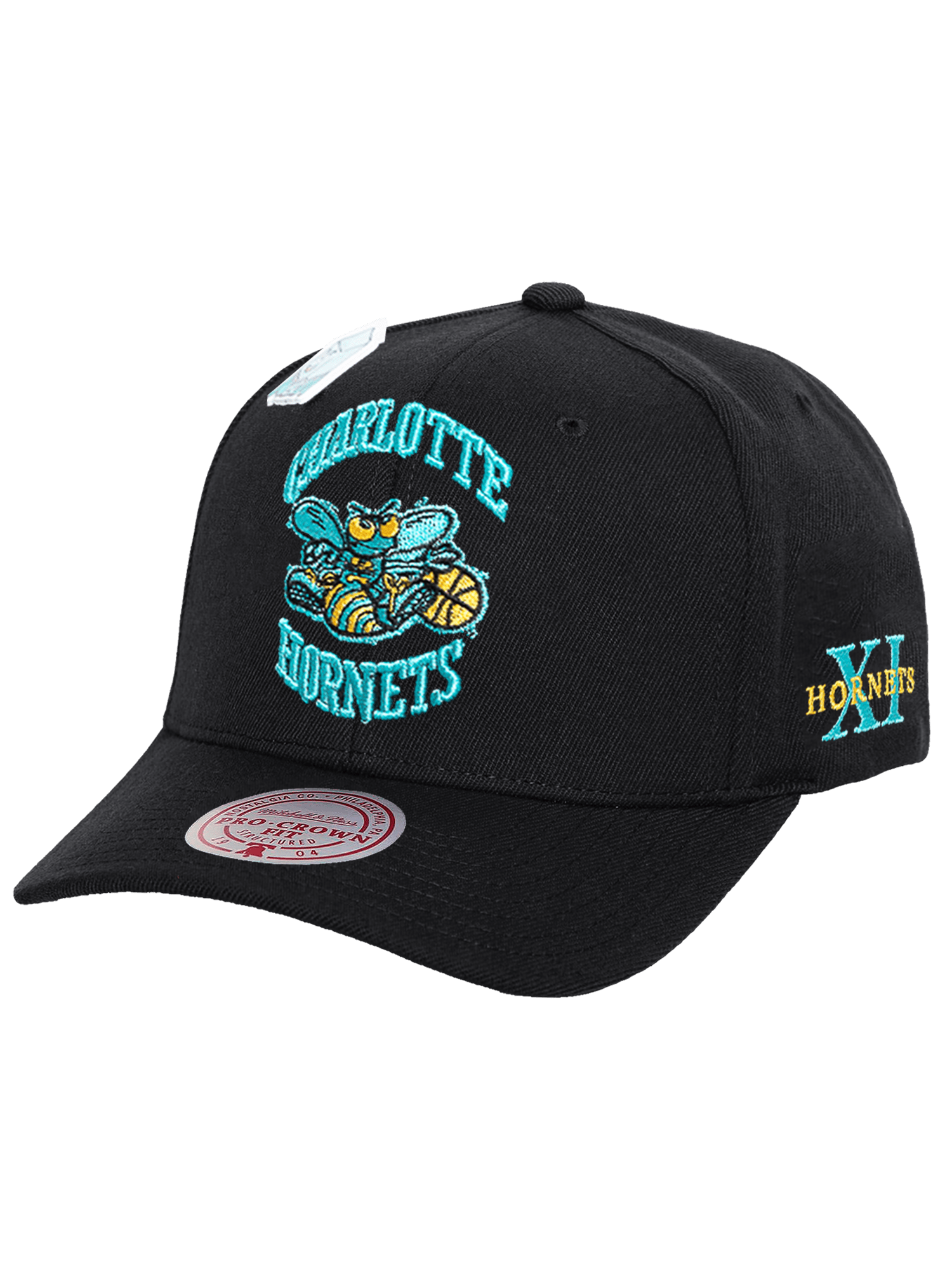 Charlotte Hornets Mitchell & Ness NBA Ice Cold Pro Crown Snapback Hat - Black