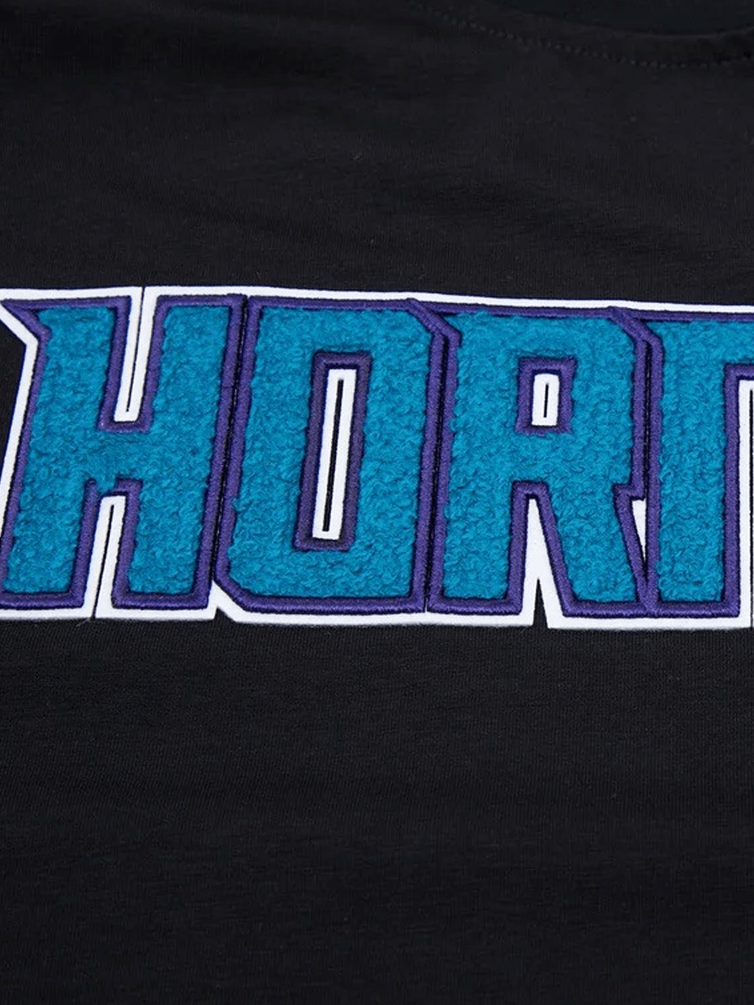 Charlotte Hornets Pro Standard NBA Team Chenille Flex T-Shirt - Black