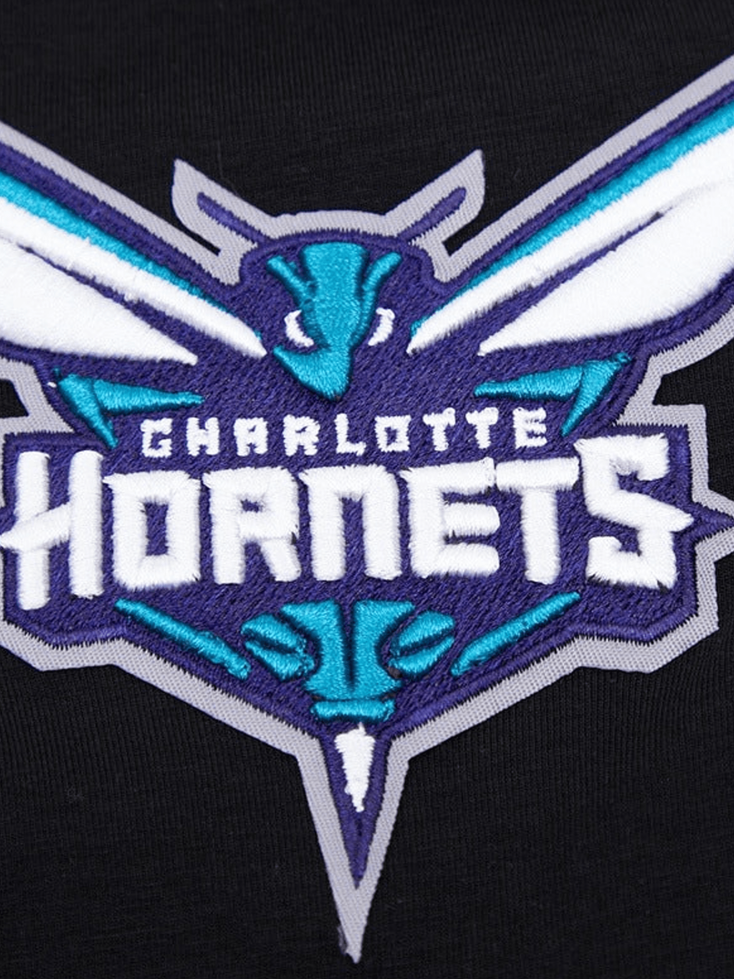 Charlotte Hornets Pro Standard NBA Team Chenille Flex T-Shirt - Black