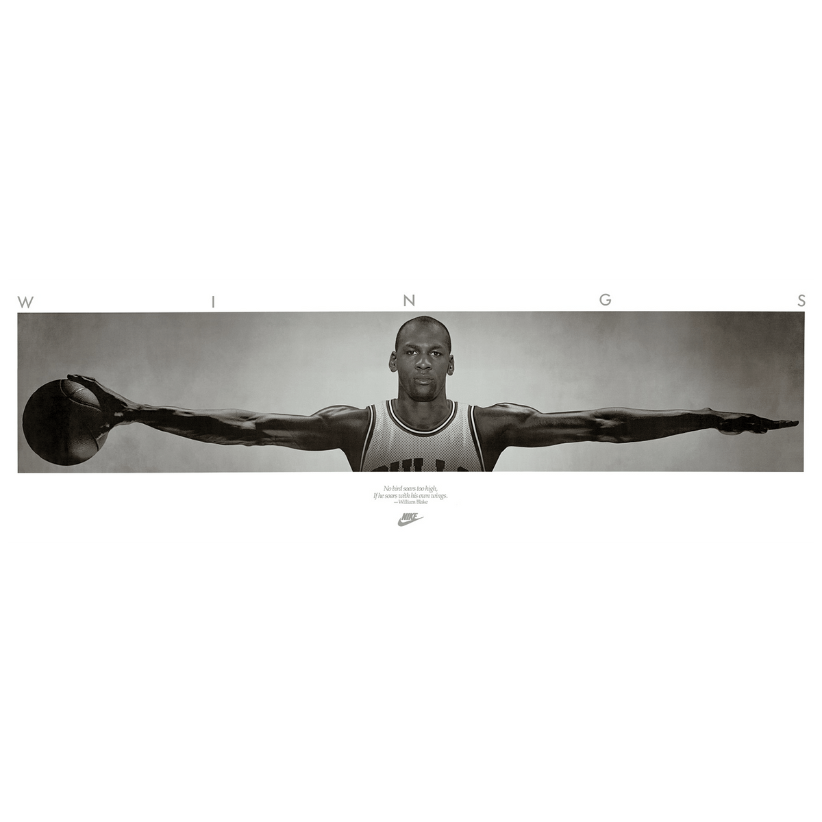 Michael Jordan Chicago Bulls NBA Wings 160 x 60cm Poster | US