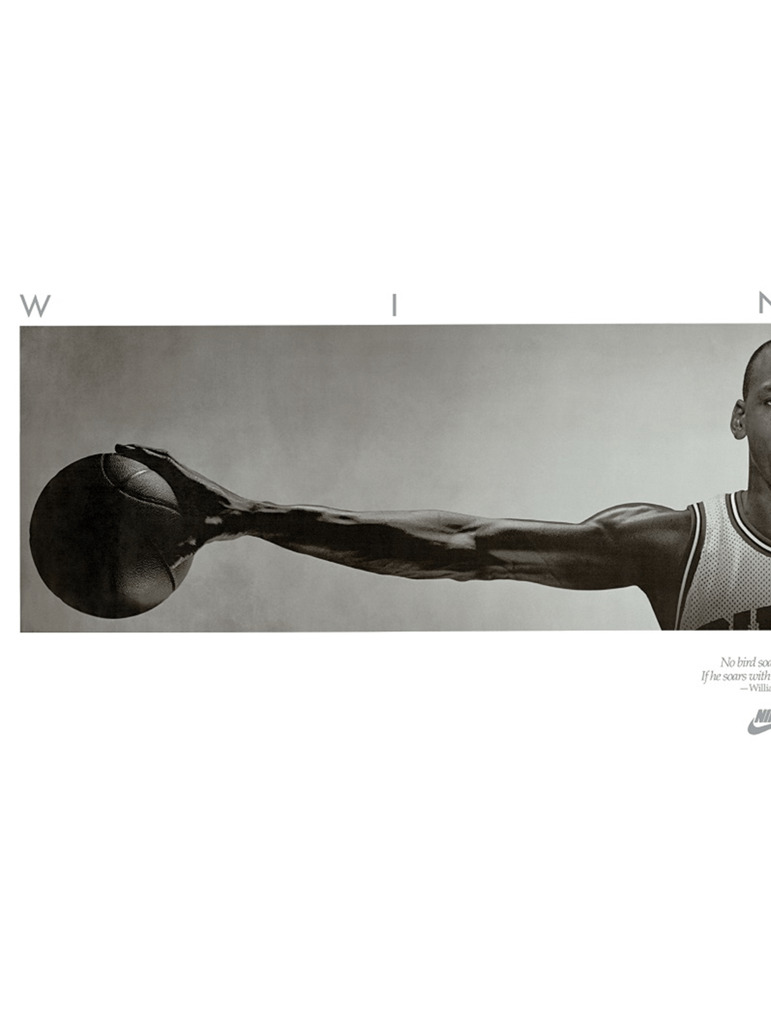 Michael Jordan Chicago Bulls NBA Wings 160 x 60cm Poster