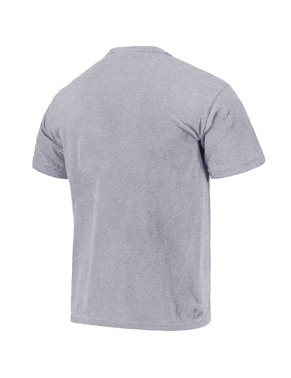 Las Vegas Raiders Majestic NFL Ivy Arch Vintage T-Shirt - Grey Marle