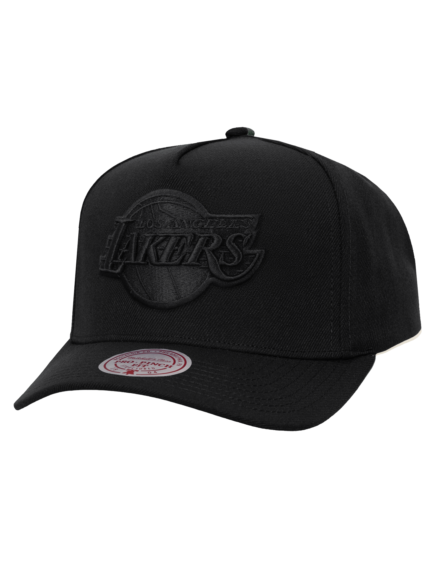 Los Angeles Lakers Mitchell & Ness NBA Black On Black Pro Pinch Snapback Hat -