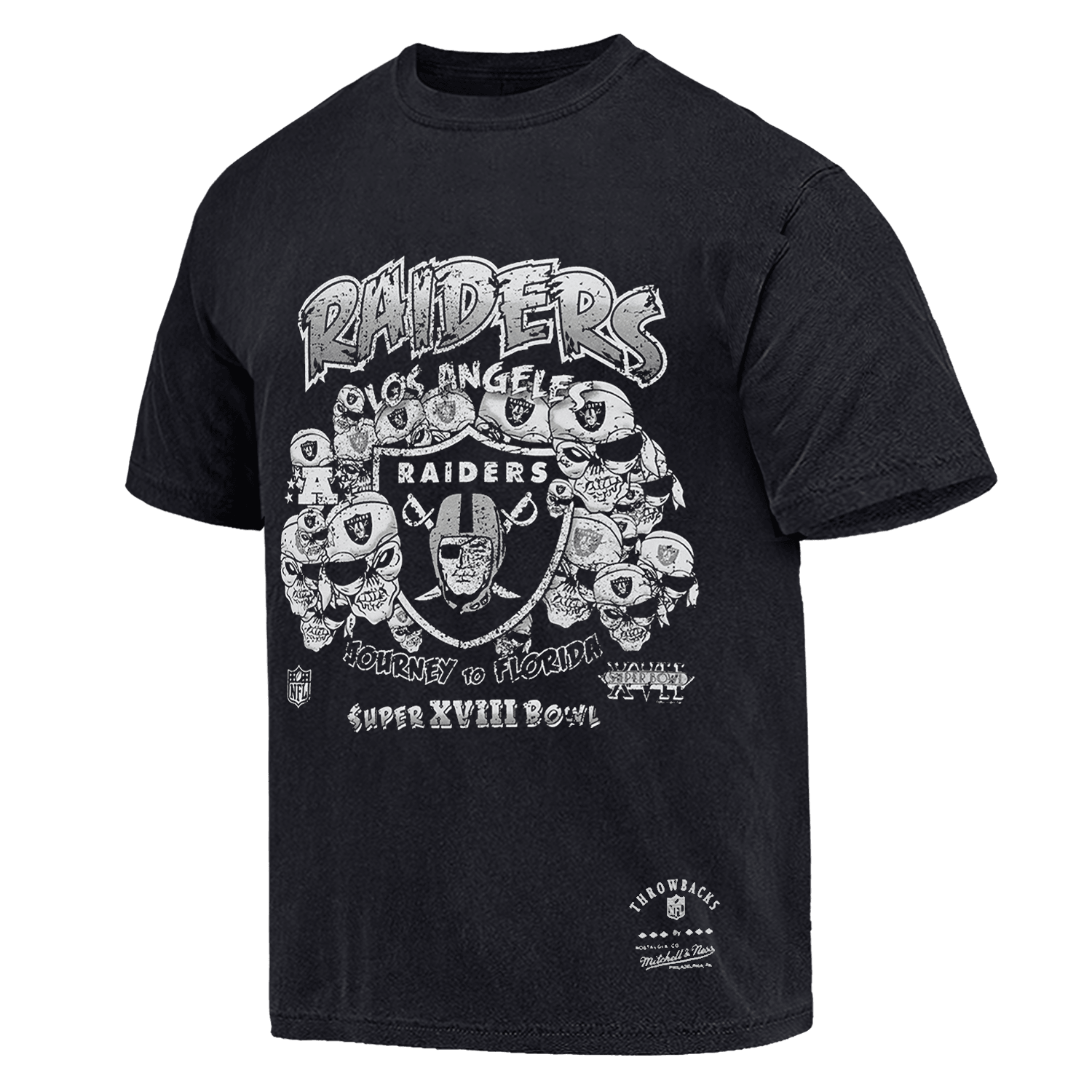 Las Vegas Raiders Mitchell & Ness NFL Journey To Florida Vintage T-Shirt - Faded Black