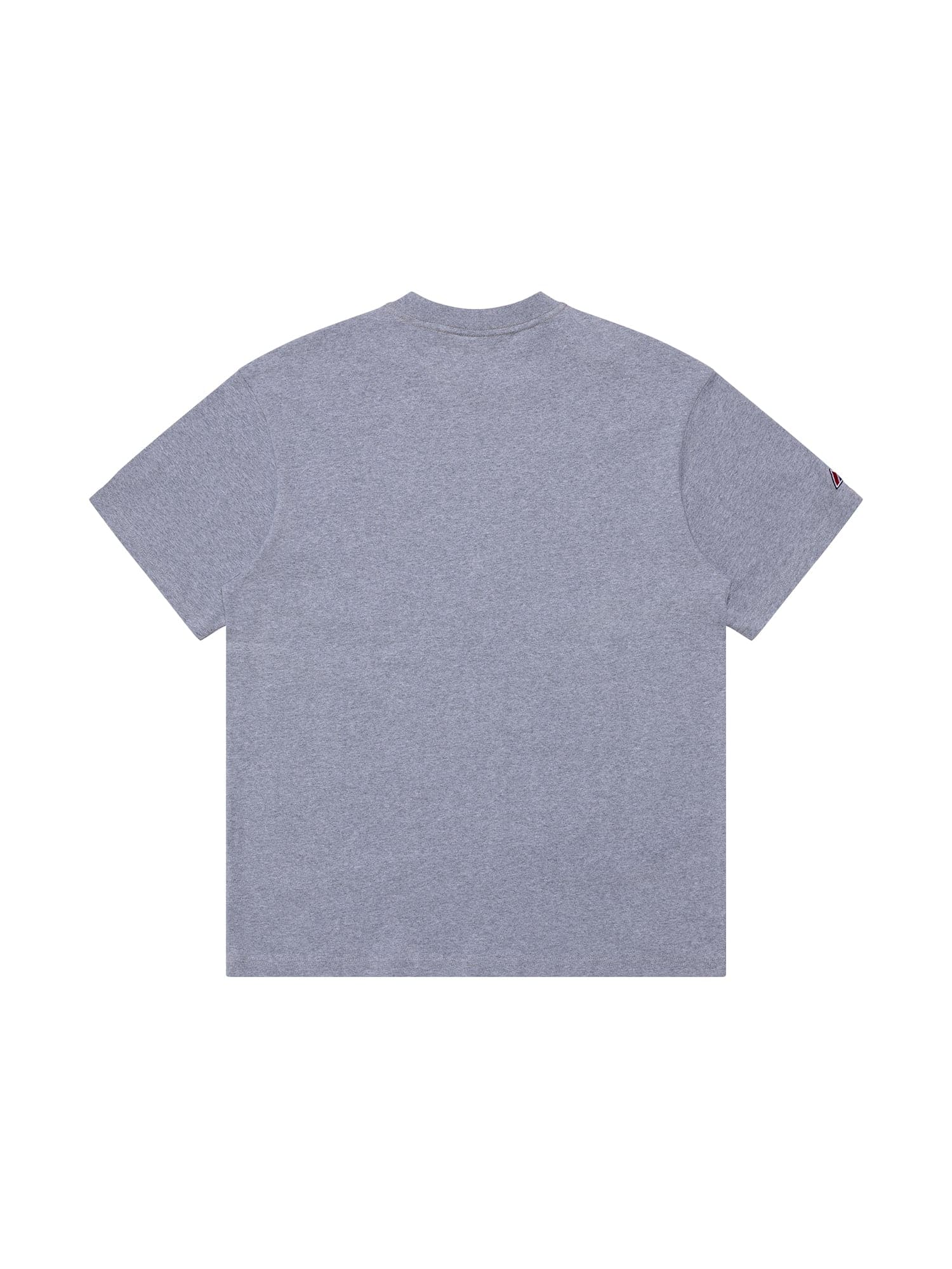 Las Vegas Raiders Majestic NFL Ivy Arch Vintage T-Shirt - Grey Marle
