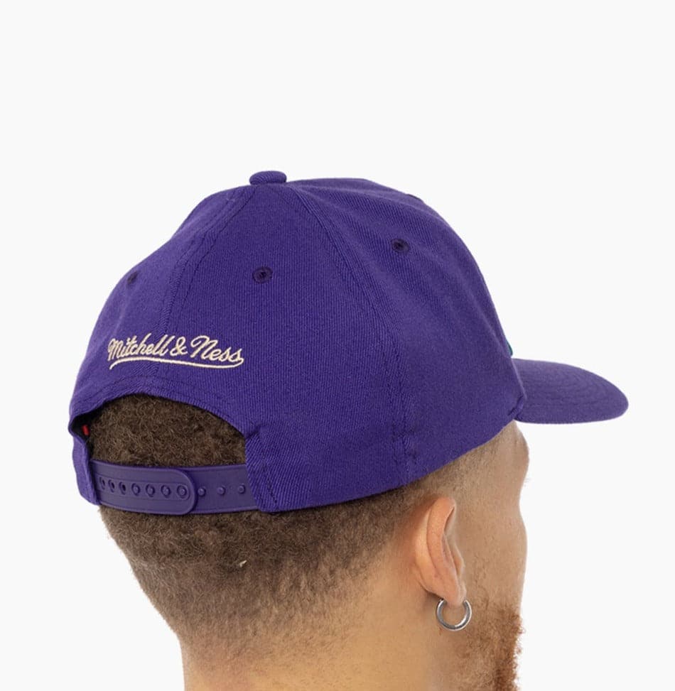 Charlotte Hornets Mitchell & Ness NBA Wordmark Pro Crown Snapback Hat - Purple