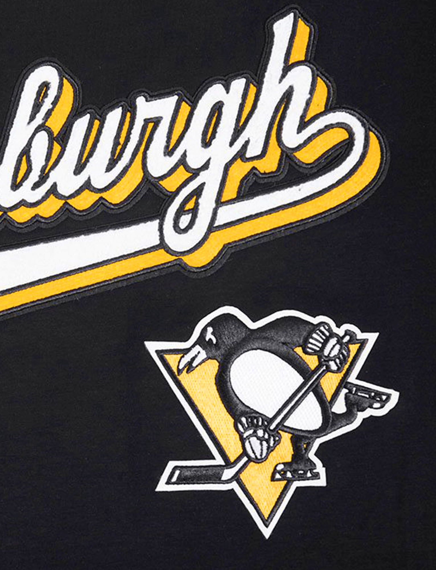 Pittsburgh Penguins Pro Standard NHL Script Tail Flex T-Shirt - Black