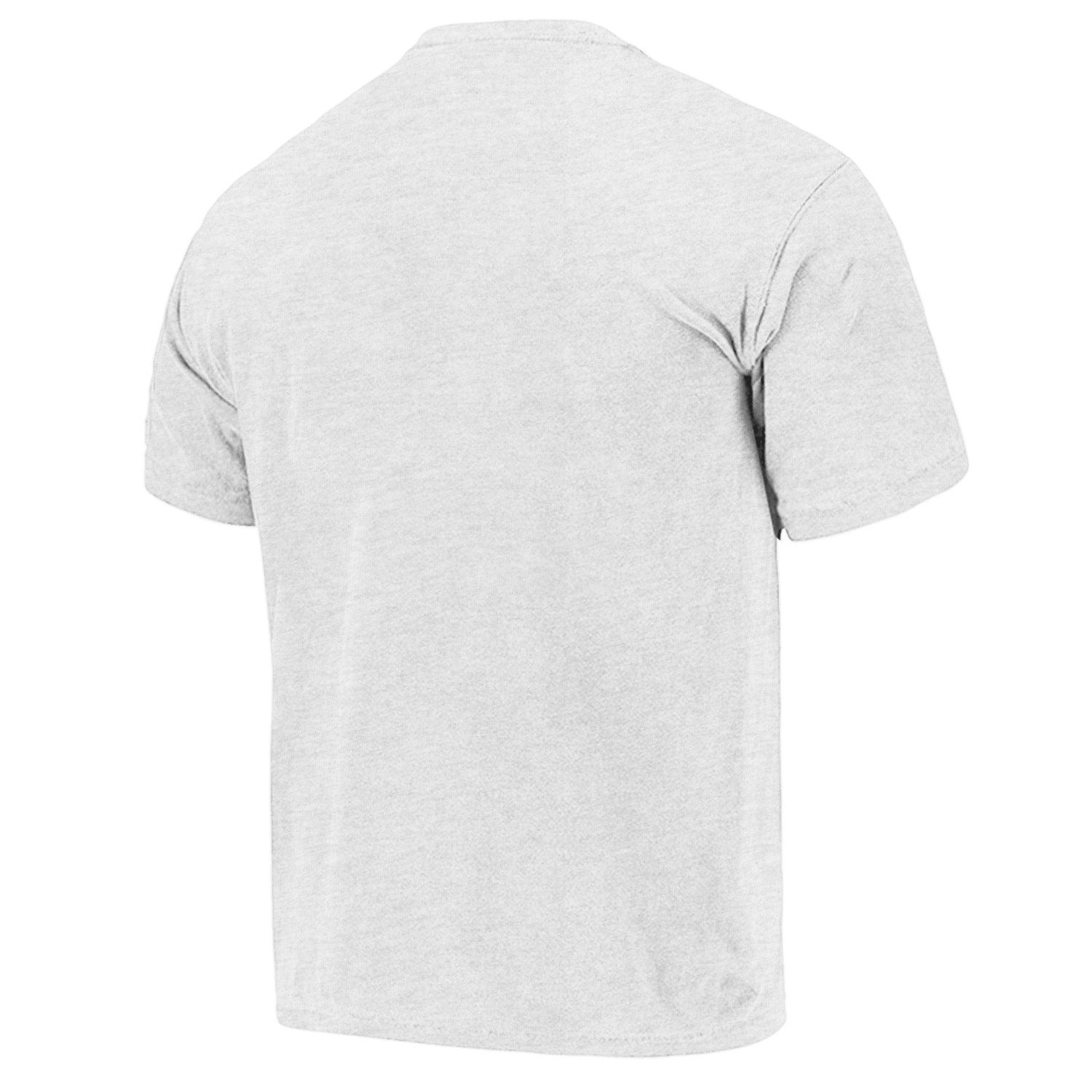 Boston Celtics NBA Essentials Hamilton Vintage T-Shirt - Silver Marle