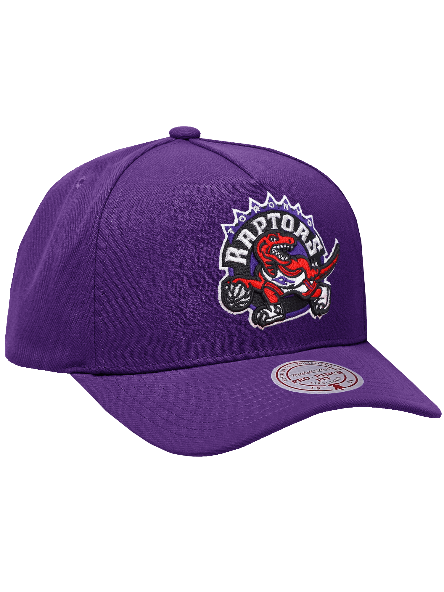 Toronto Raptors Mitchell & Ness NBA HWC Pro Pinch Snapback Hat - Purple