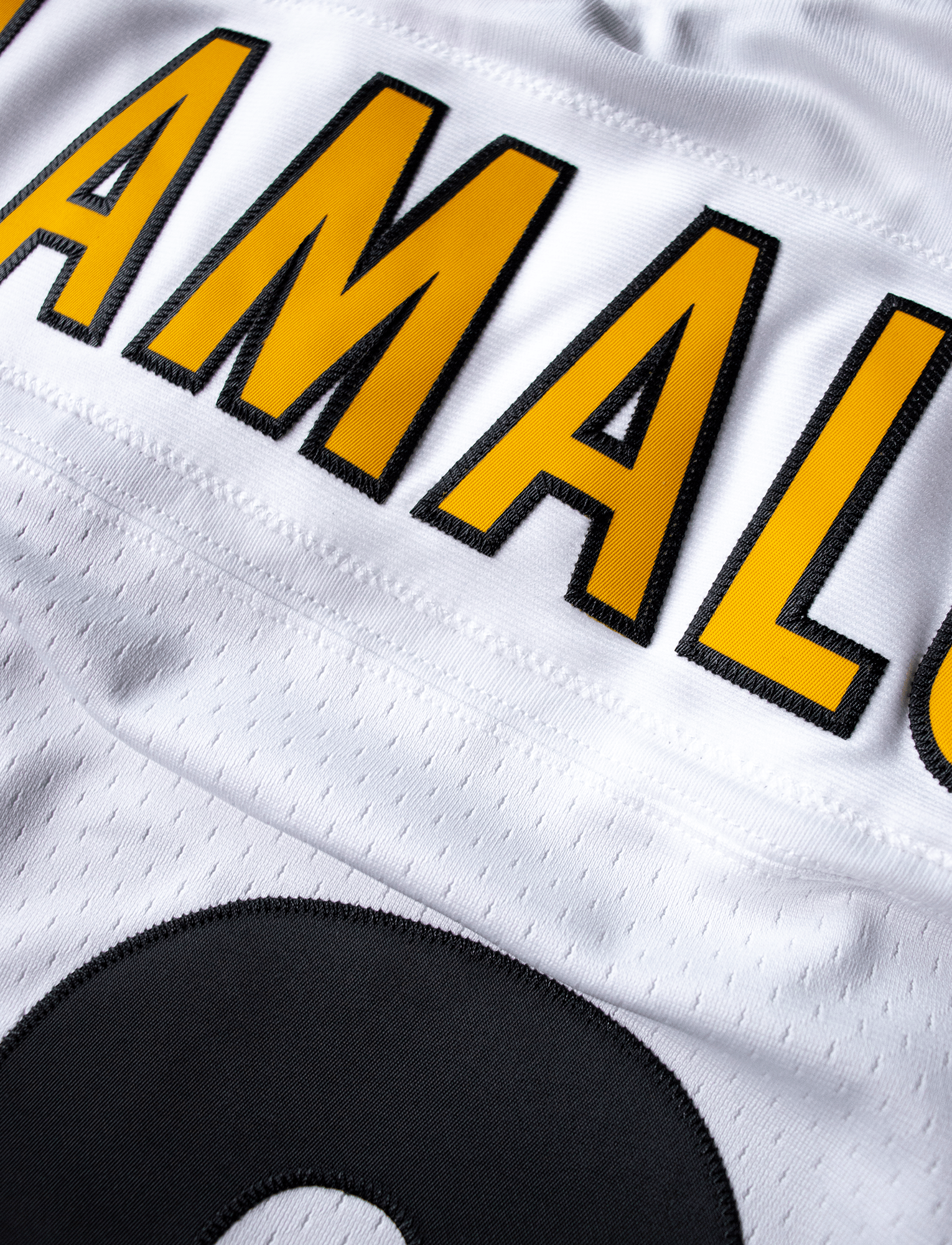 Troy Polamalu Pittsburgh Steelers Mitchell & Ness NFL 05 Legacy Jersey - White