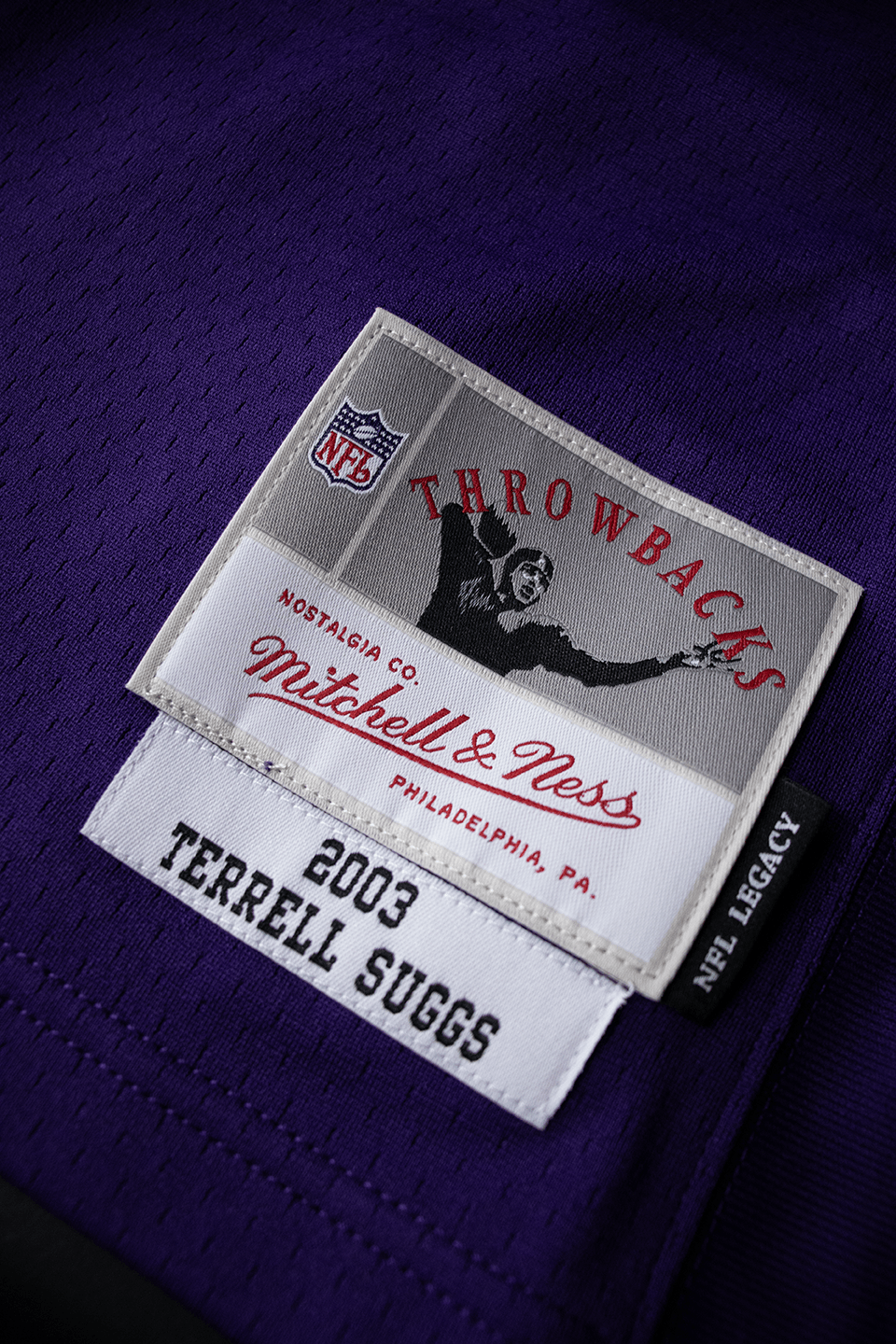 Terrell Suggs Baltimore Ravens Mitchell & Ness NFL 03 Legacy Jersey - Purple