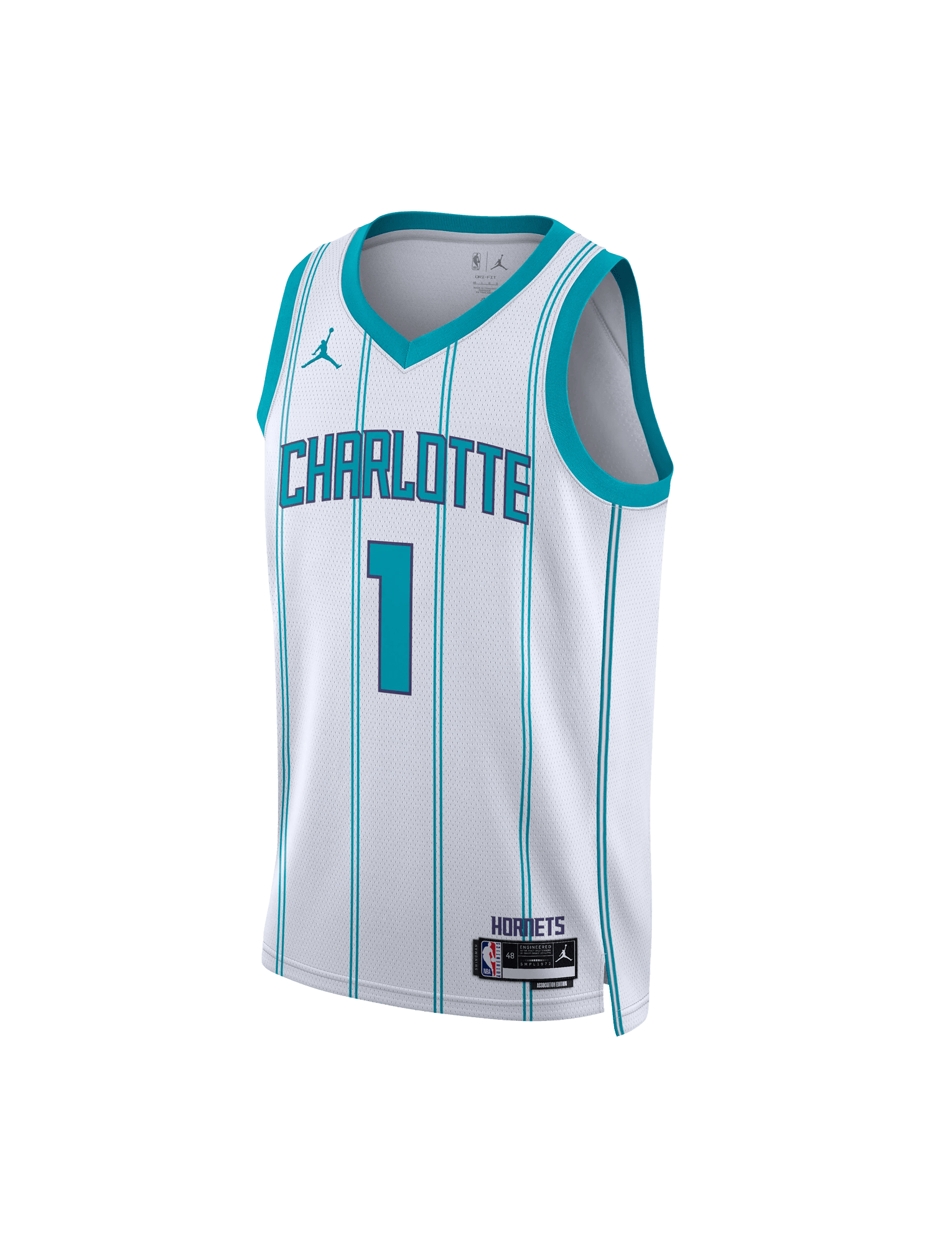 Youths LaMelo Ball Charlotte Hornets Nike NBA Association Jersey - White