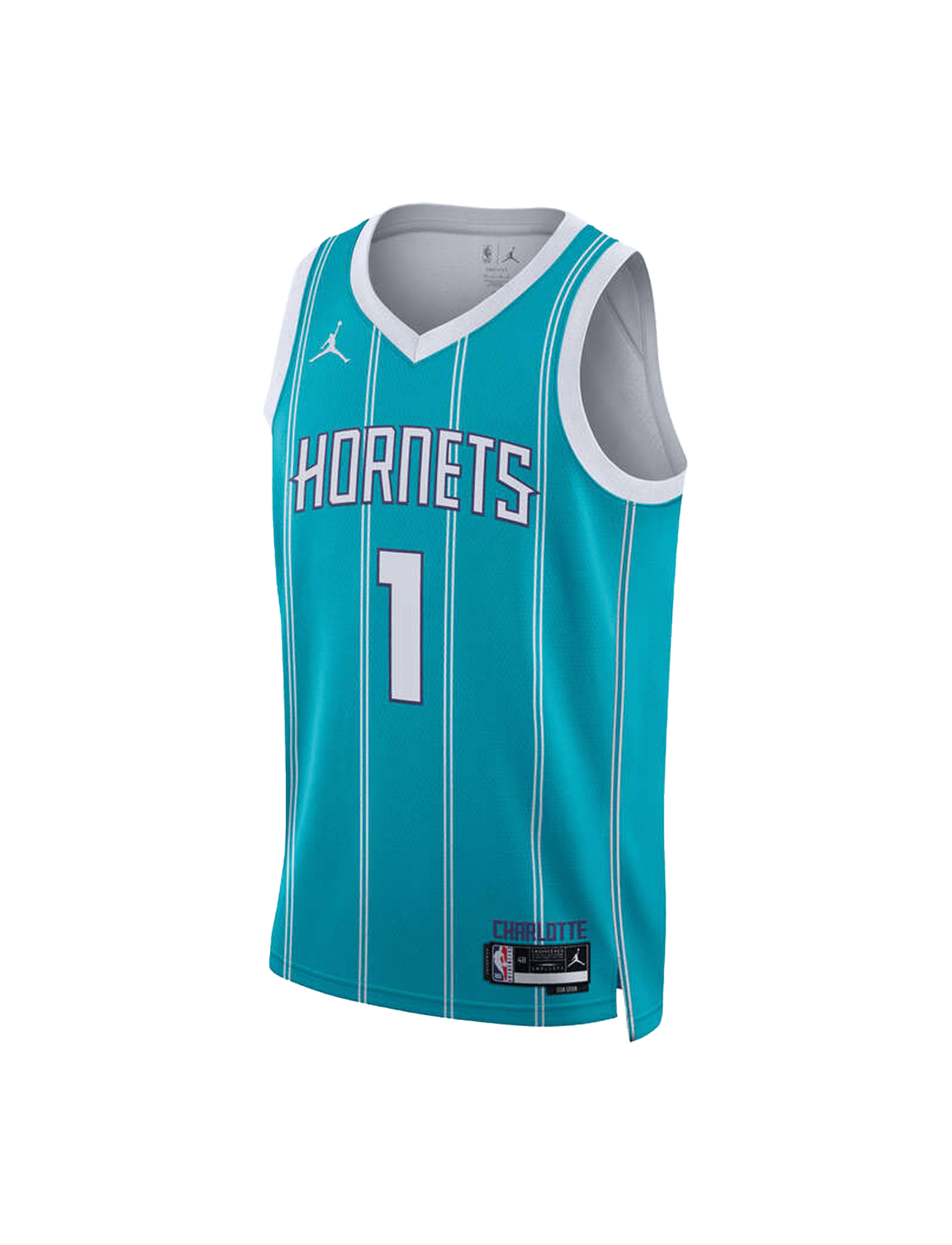 Youths LaMelo Ball Charlotte Hornets Nike NBA Icon Jersey - Teal