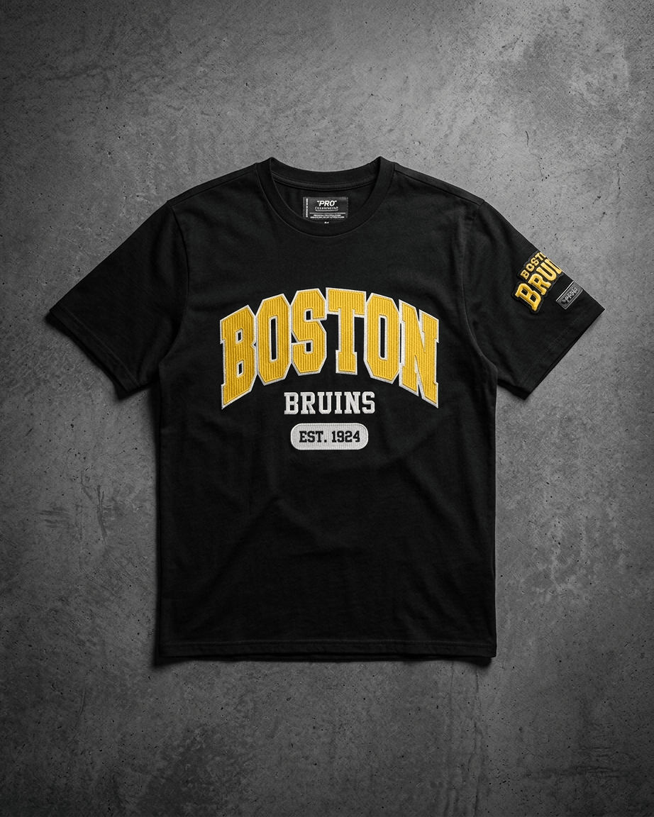 Pro Standard T-Shirts Boston Bruins Pro Standard NHL City Arch Flex T-Shirt - Black