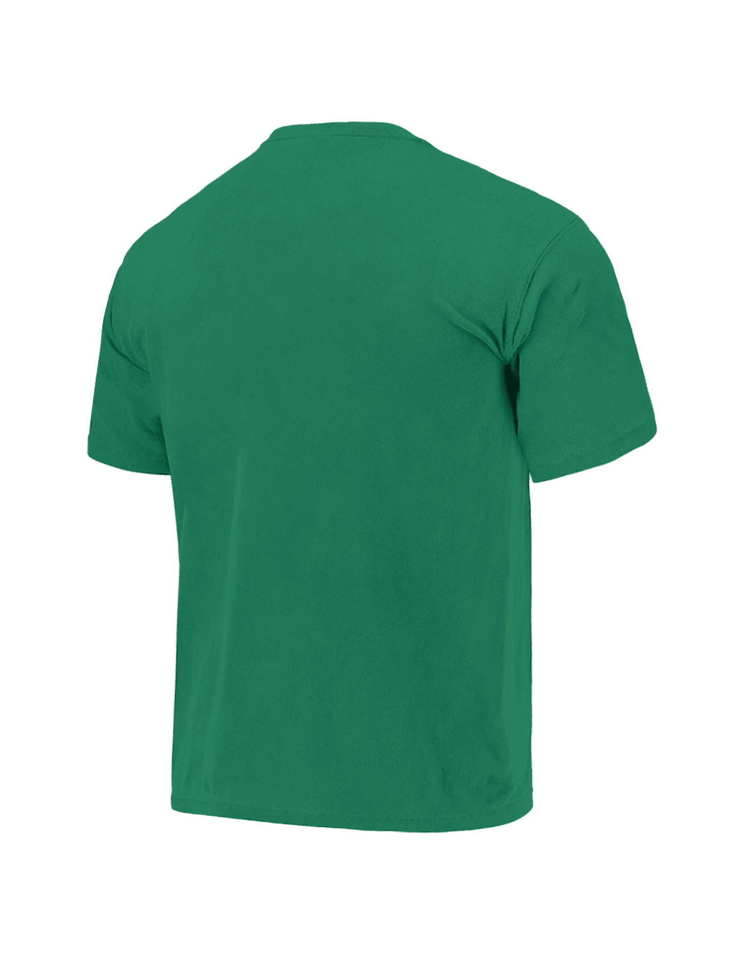 Mitchell And Ness T-Shirts Boston Celtics Mitchell & Ness NBA On Fire Vintage T-Shirt - Green