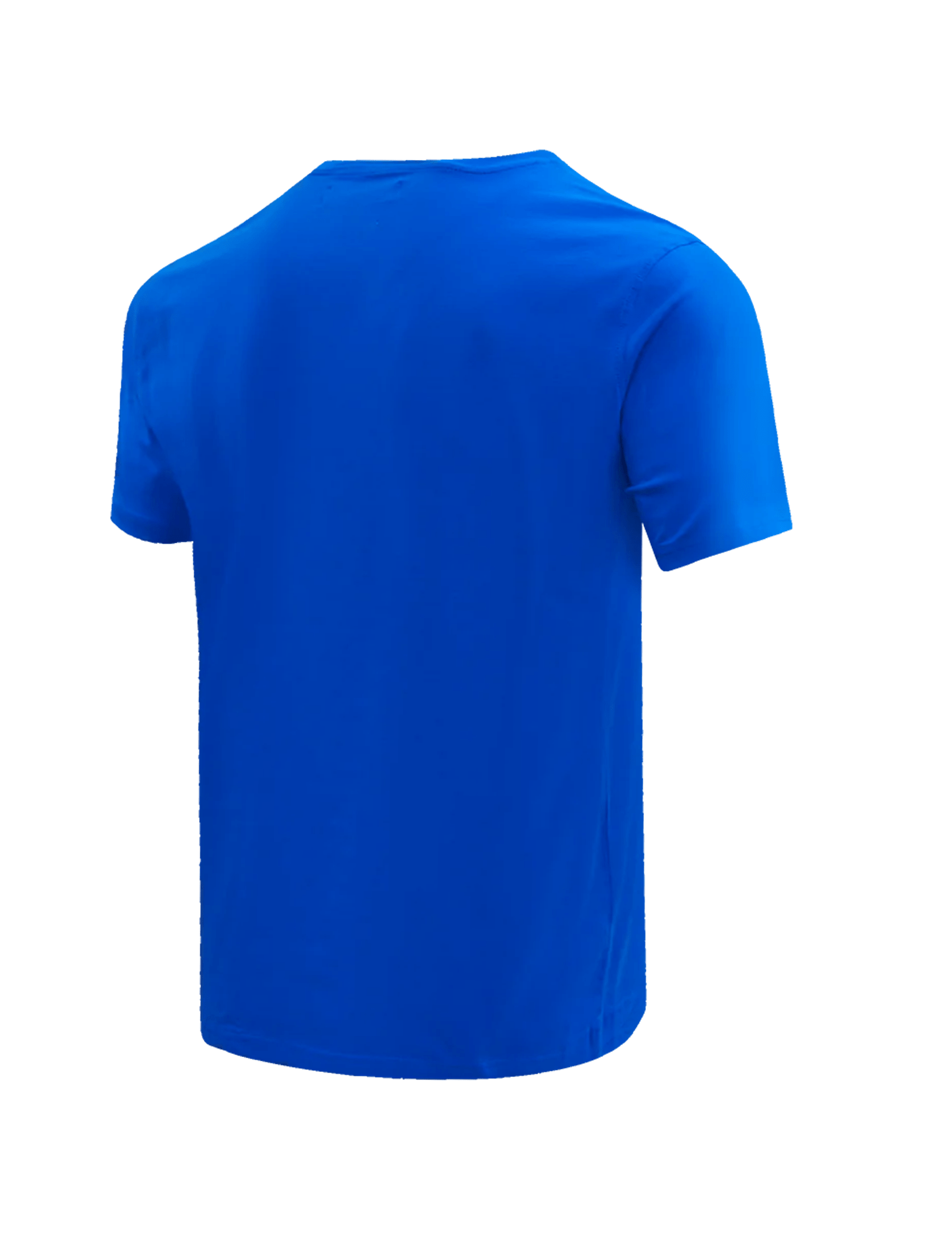 Pro Standard T-Shirts Buffalo Bills Pro Standard NFL Classic Bristle Flex T-Shirt - Blue