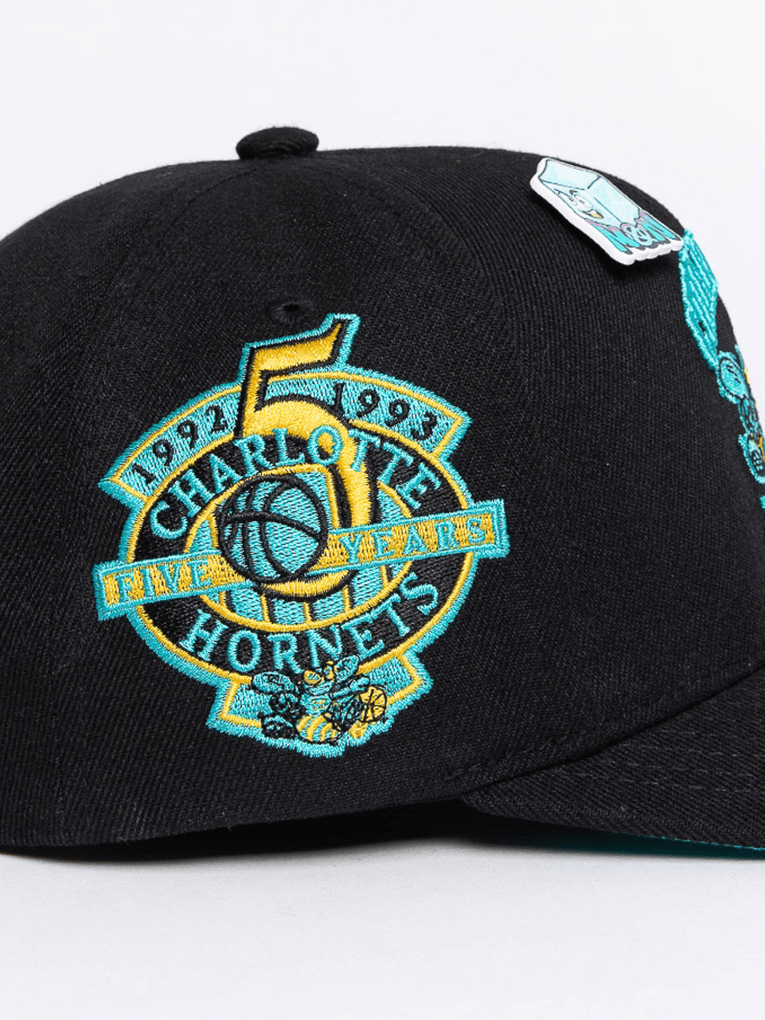 Mitchell And Ness Caps Charlotte Hornets Mitchell & Ness NBA Ice Cold Pro Crown Snapback Hat - Black