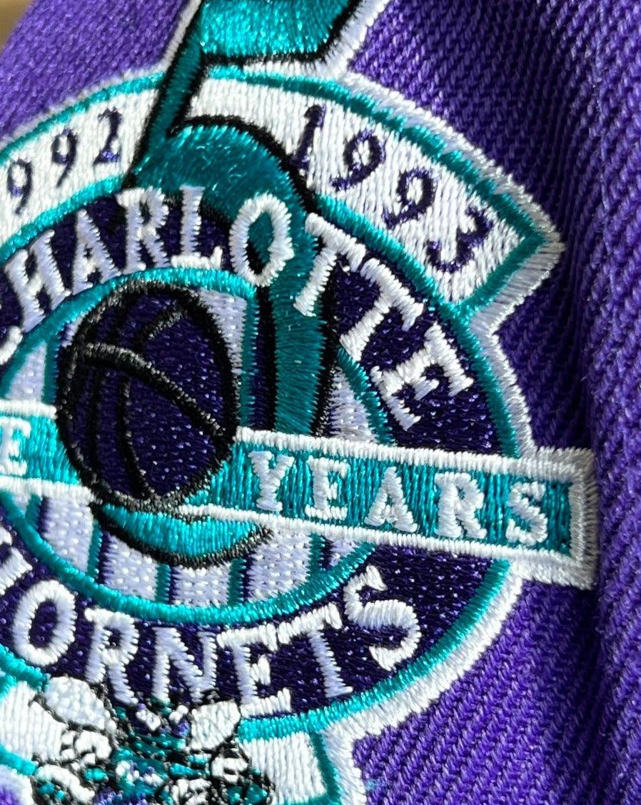 Mitchell And Ness Caps Charlotte Hornets Mitchell & Ness NBA Swarm & Sting Pro Crown Snapback Hat