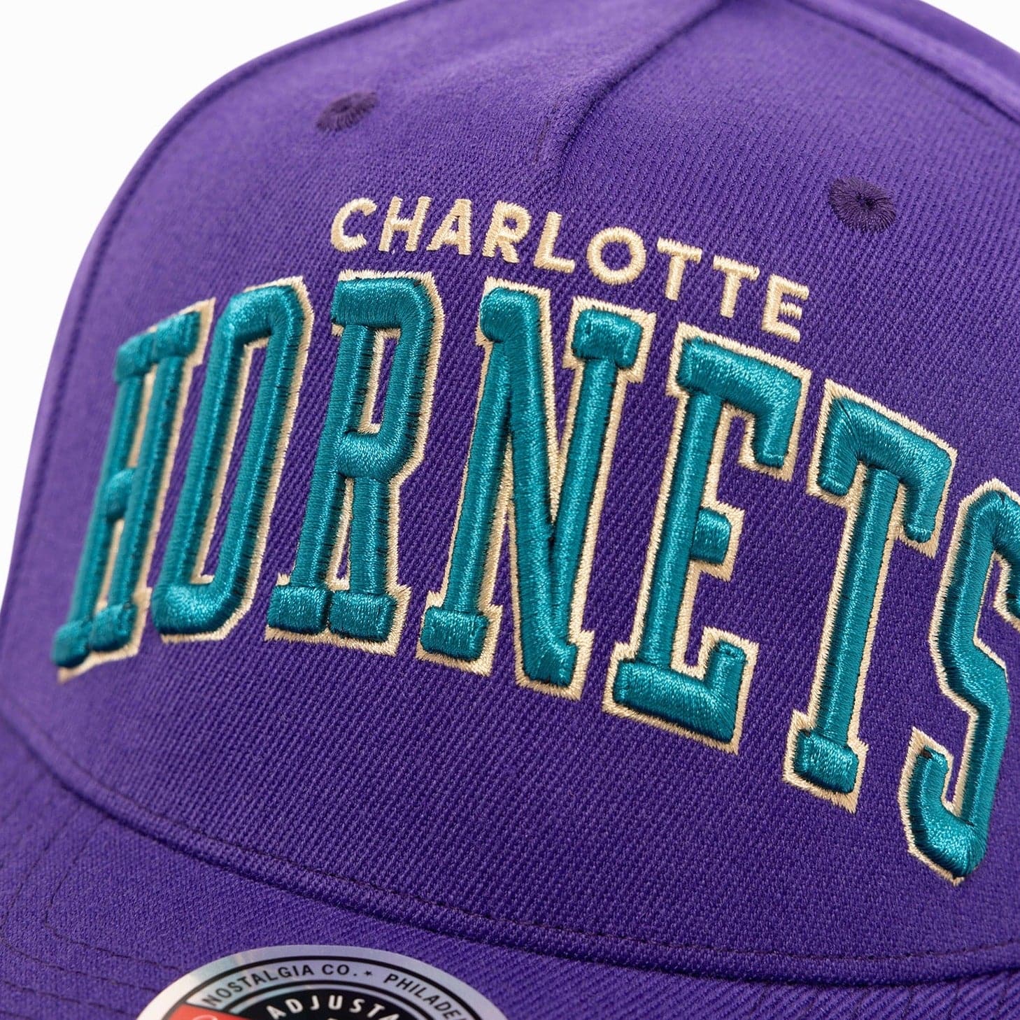 Mitchell And Ness Caps Charlotte Hornets Mitchell & Ness NBA Wordmark Pro Crown Snapback Hat - Purple