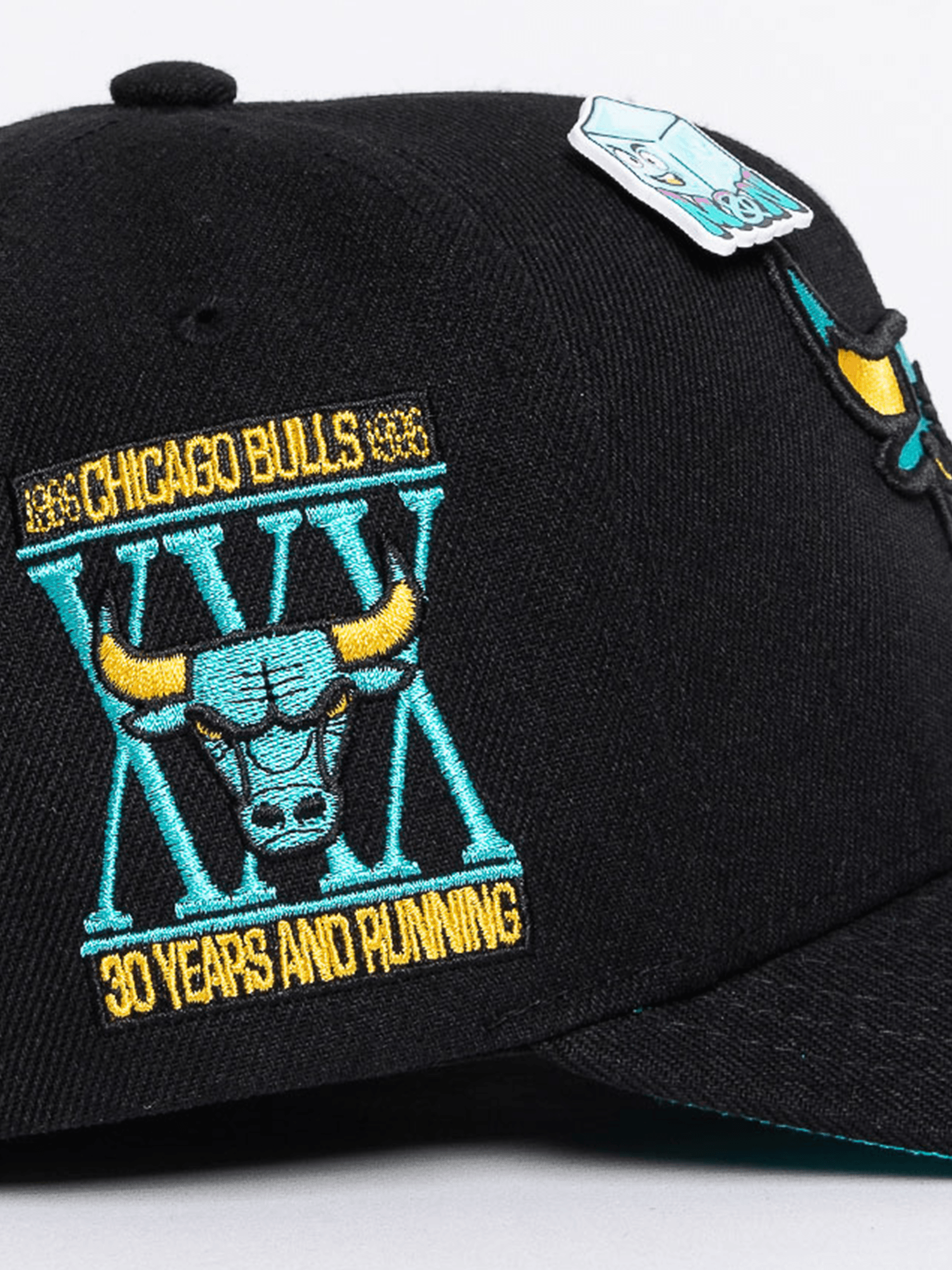 Mitchell And Ness Caps Chicago Bulls Mitchell & Ness NBA Ice Cold Pro Crown Snapback Hat - Black