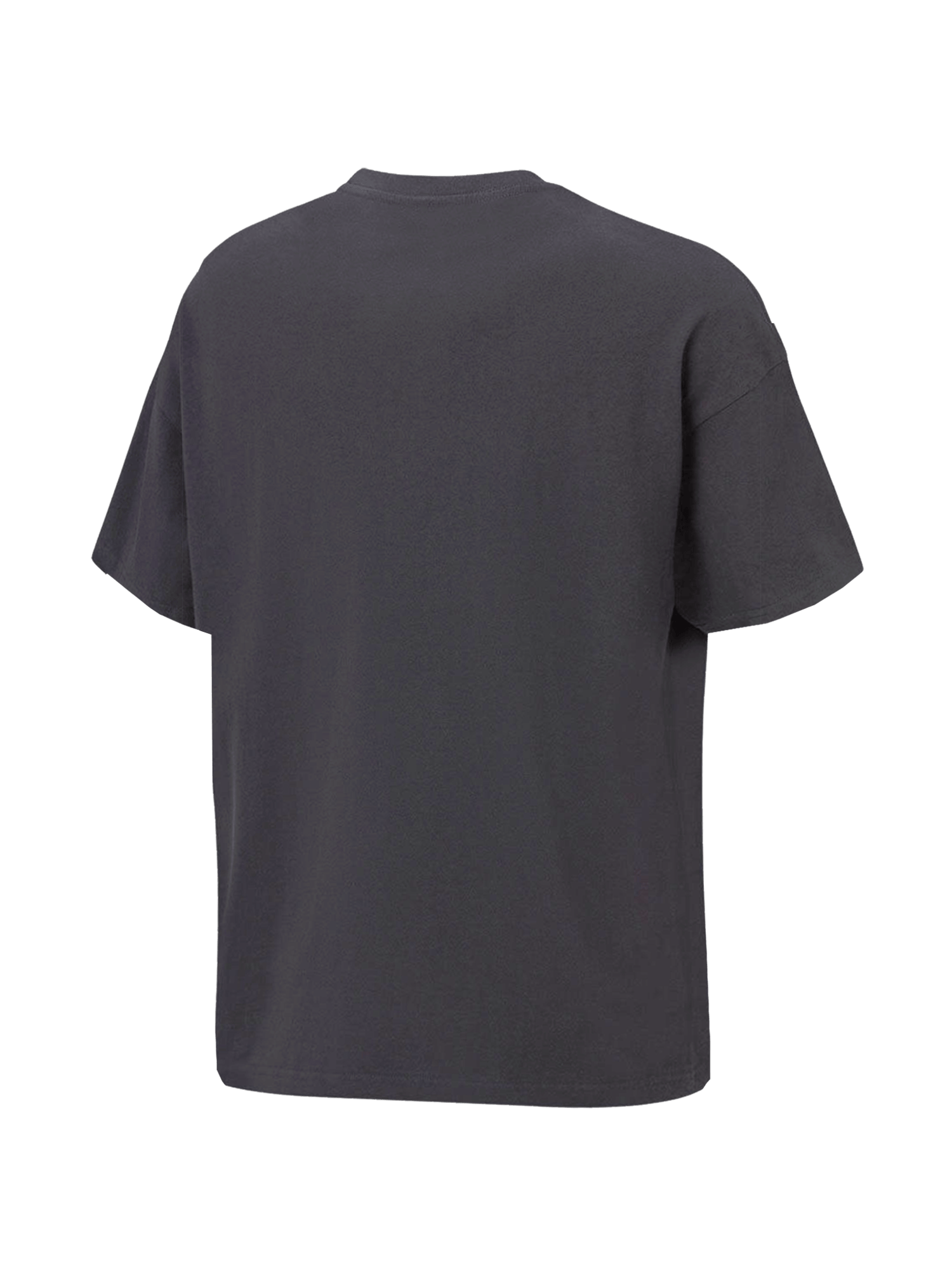 Mitchell And Ness T-Shirts Florida Gators Mitchell & Ness NCAA Champs Arch Vintage T-Shirt - Faded Slate