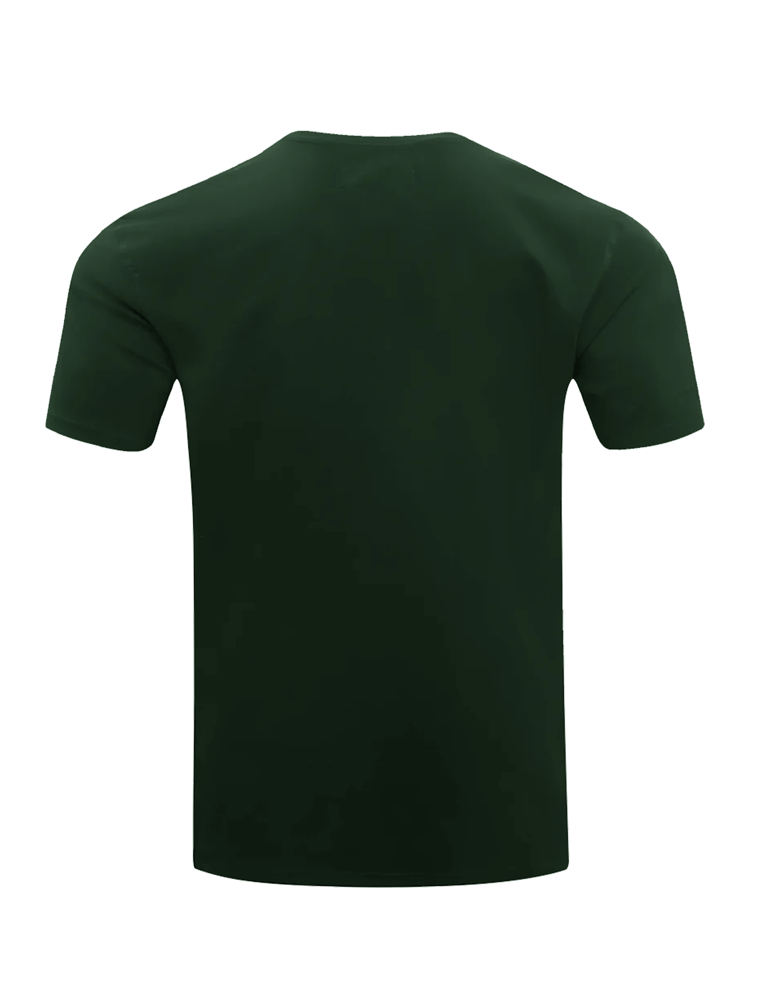 Pro Standard T-Shirts Green Bay Packers Pro Standard NFL Classic Chenille Flex T-Shirt - Green