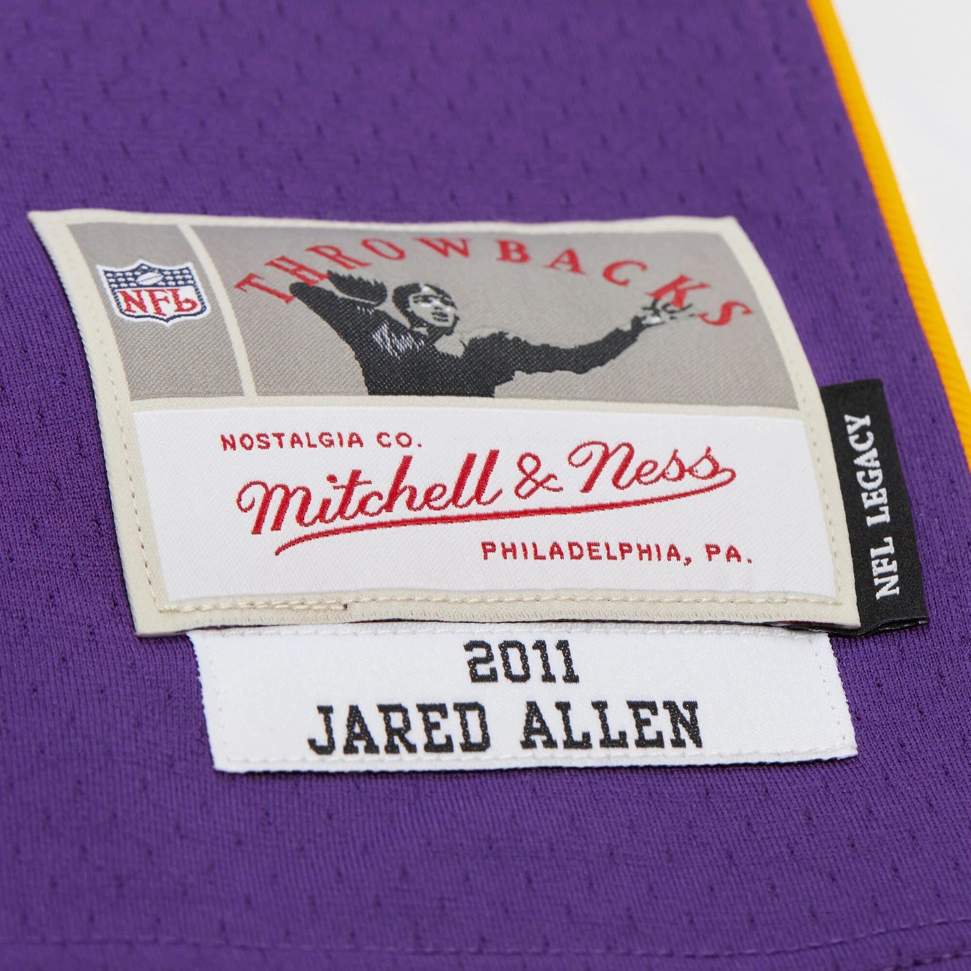 Mitchell And Ness Jerseys Jared Allen Minnesota Vikings Mitchell & Ness NFL 11 Legacy Jersey - Purple