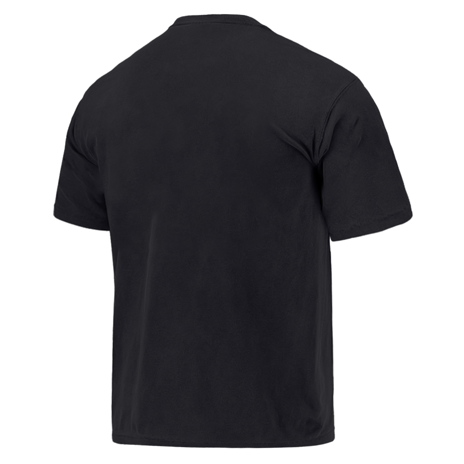Mitchell And Ness T-Shirts Las Vegas Raiders Mitchell & Ness NFL Journey To Florida Vintage T-Shirt - Faded Black
