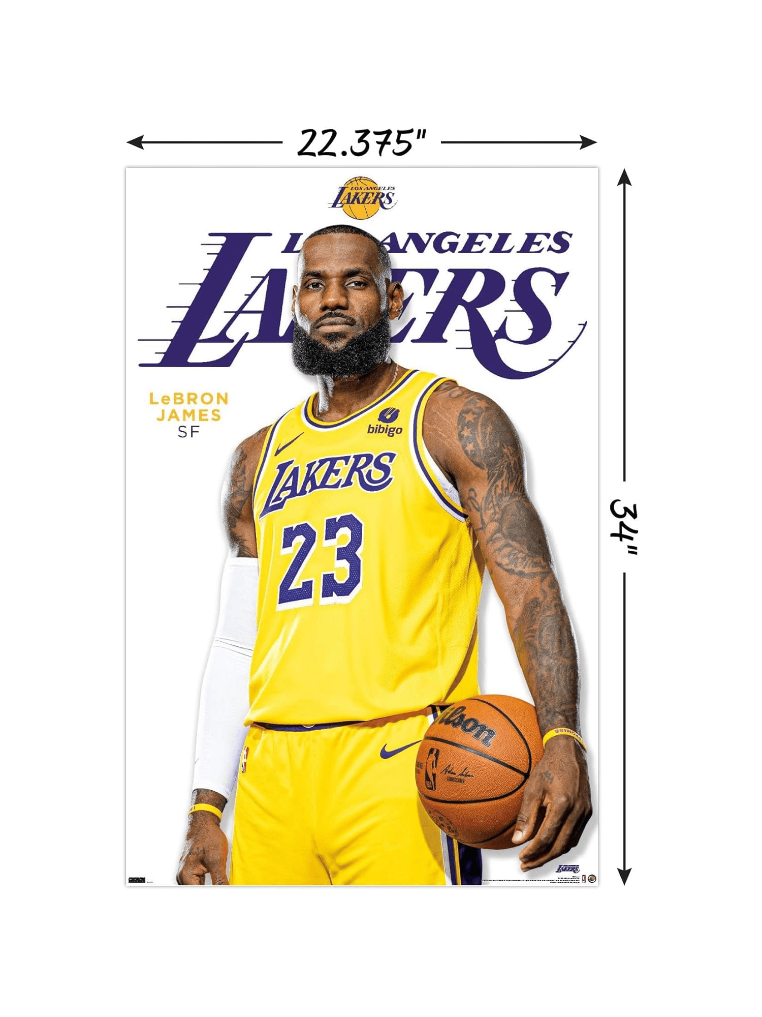 Trends International Posters LeBron James Los Angeles Lakers Trends NBA 61 x 91.5cm Feature Poster
