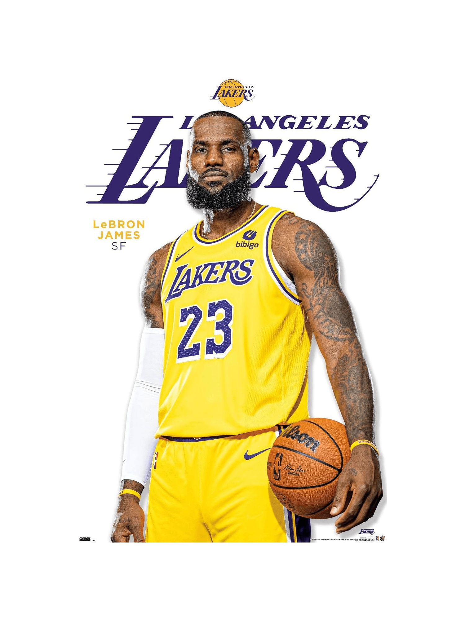 Trends International Posters LeBron James Los Angeles Lakers Trends NBA 61 x 91.5cm Feature Poster