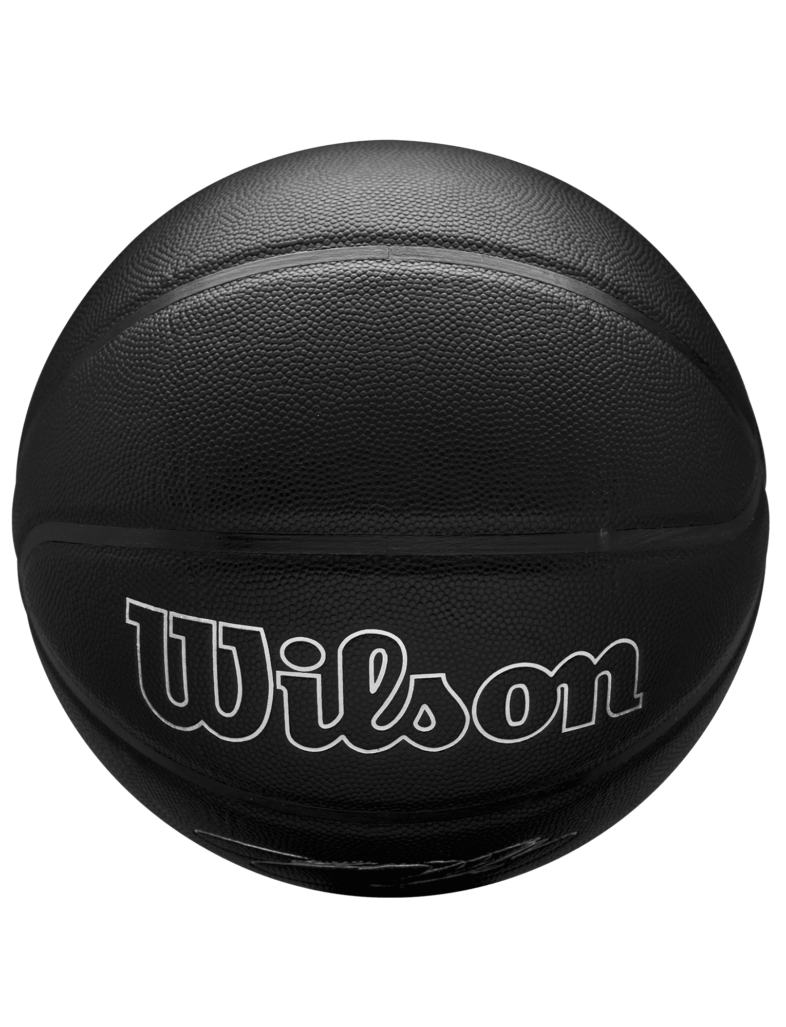Wilson Sporting Goods Balls LeBron James Los Angeles Lakers Wilson NBA Nightmode Player Basketball