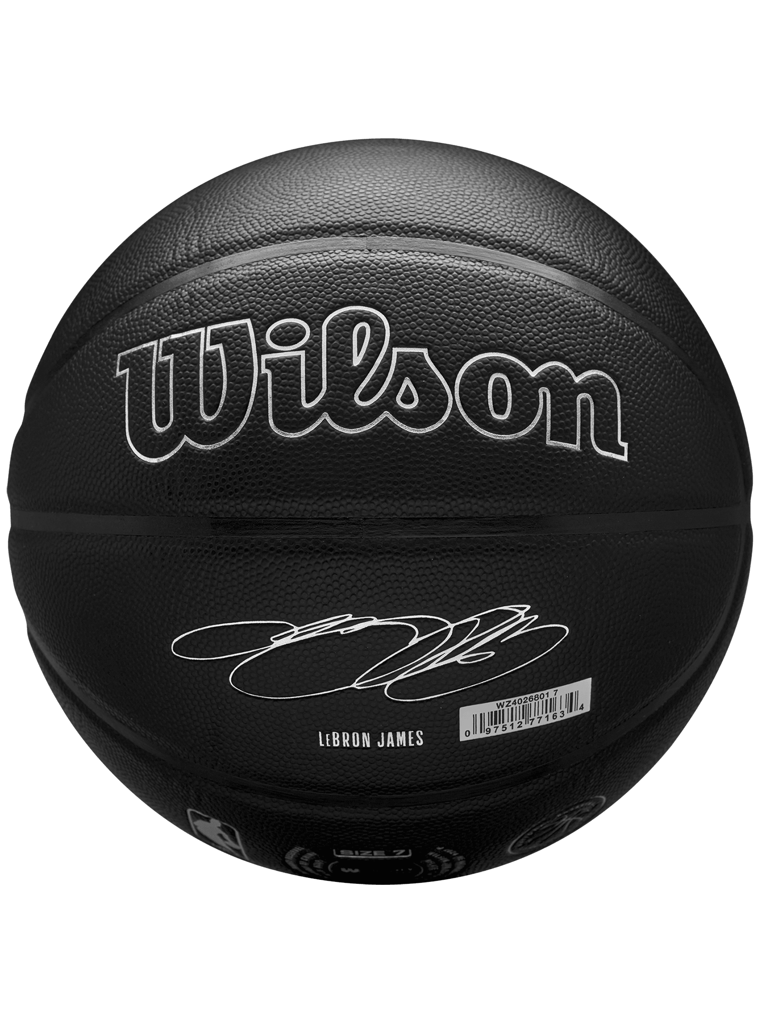 Wilson Sporting Goods Balls LeBron James Los Angeles Lakers Wilson NBA Nightmode Player Basketball