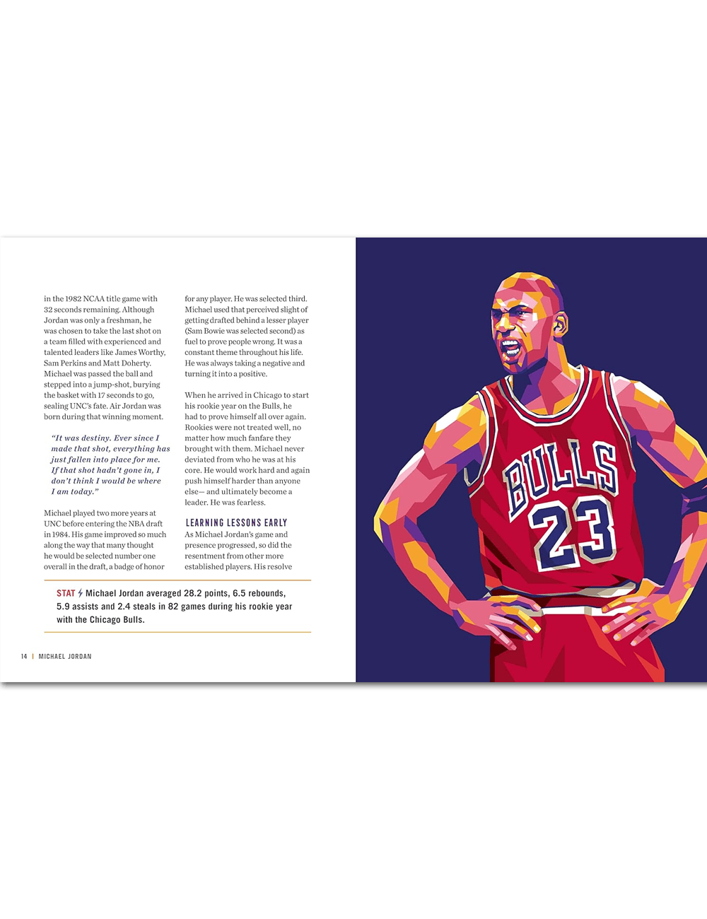 Hachette Group Books Michael Jordan Life Lessons From a Legend NBA Hardcover Book